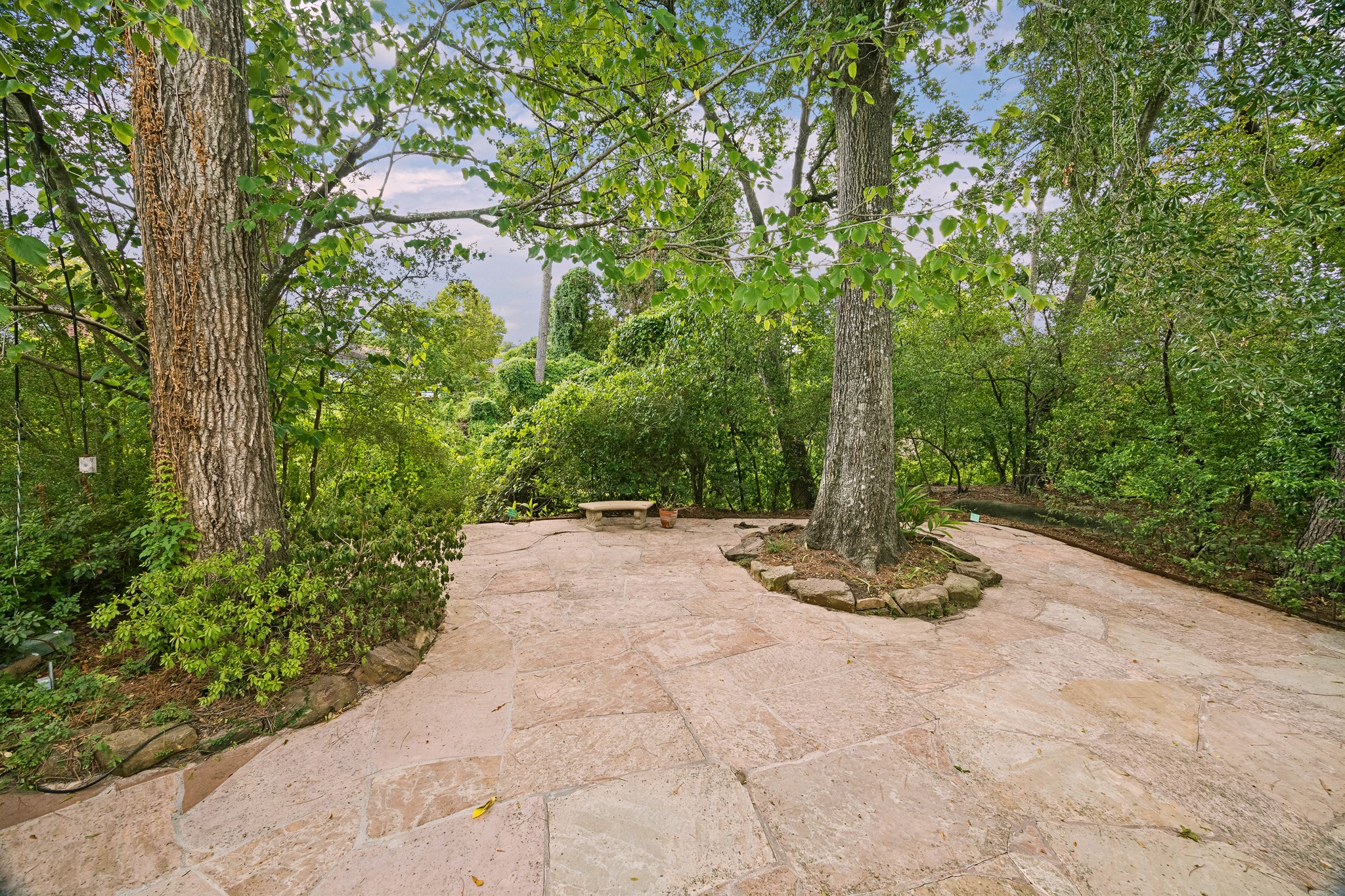 9517 Bayou Brook Street Property Photo 41
