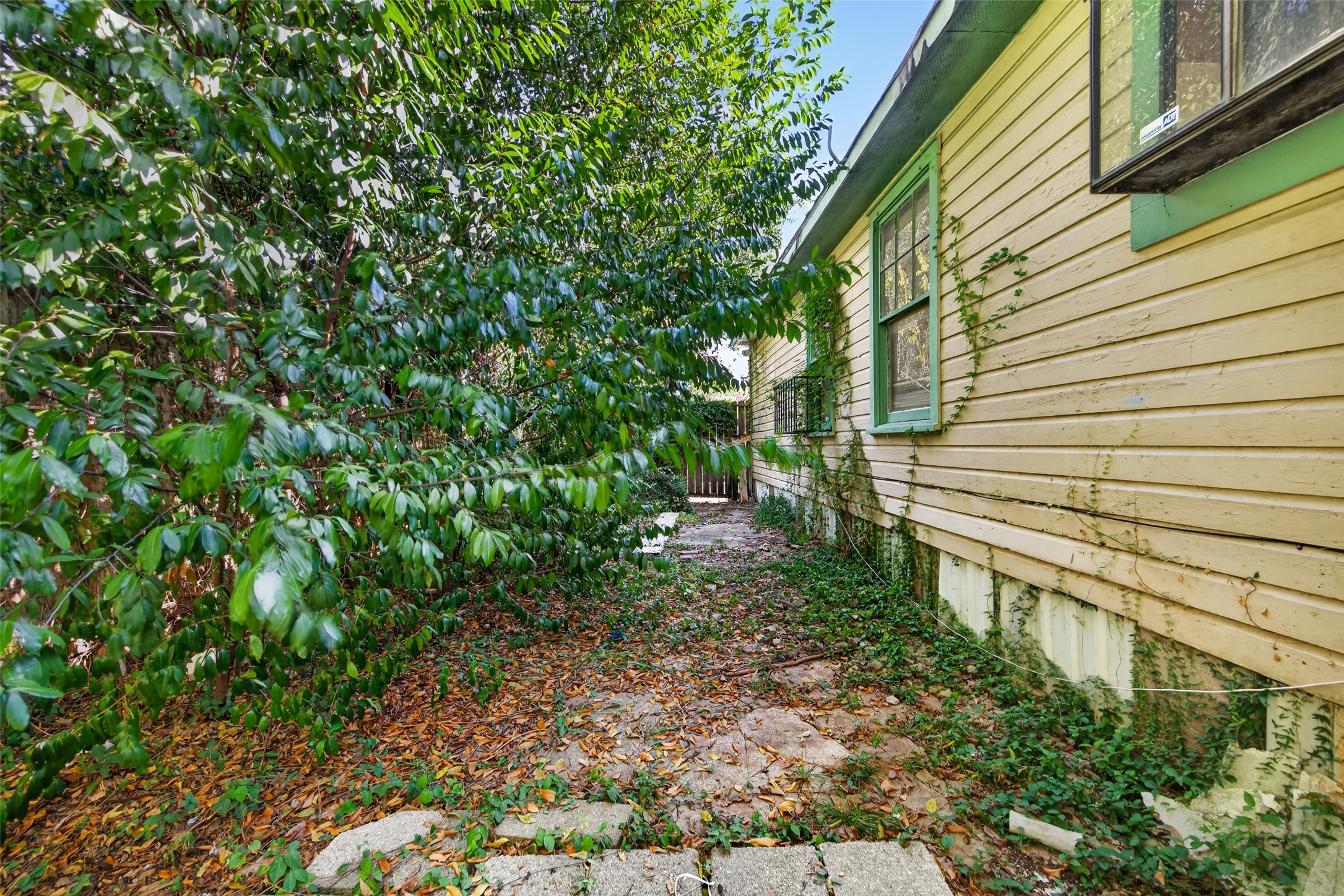 5130 Live Oak Street Property Photo 24