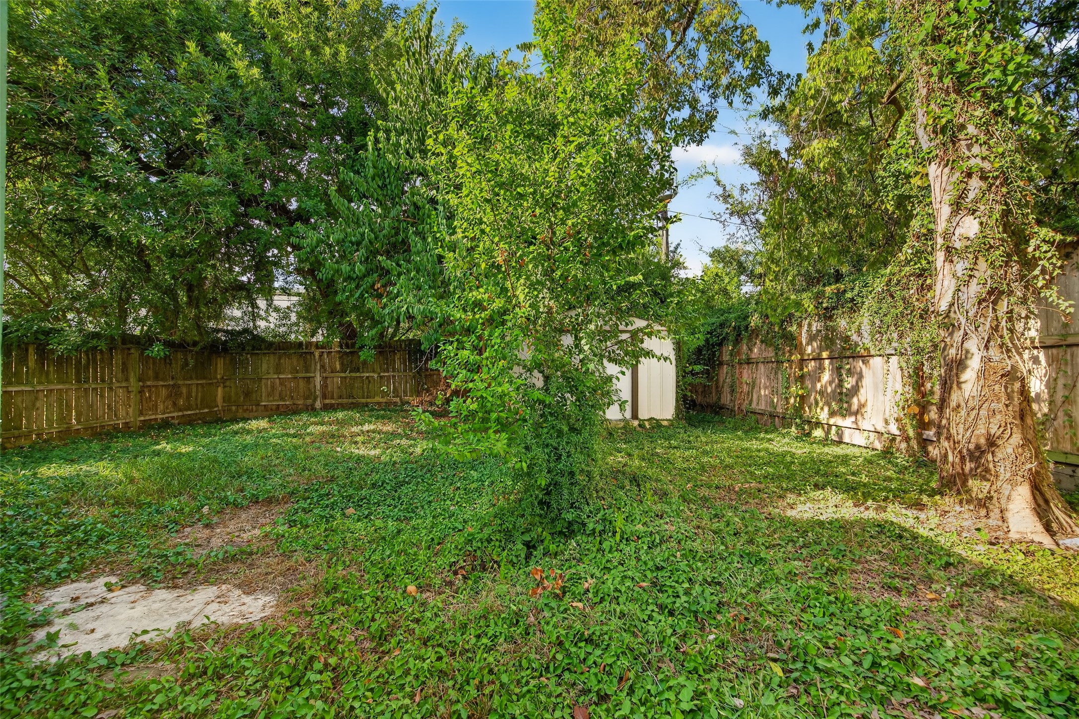 5130 Live Oak Street Property Photo 26