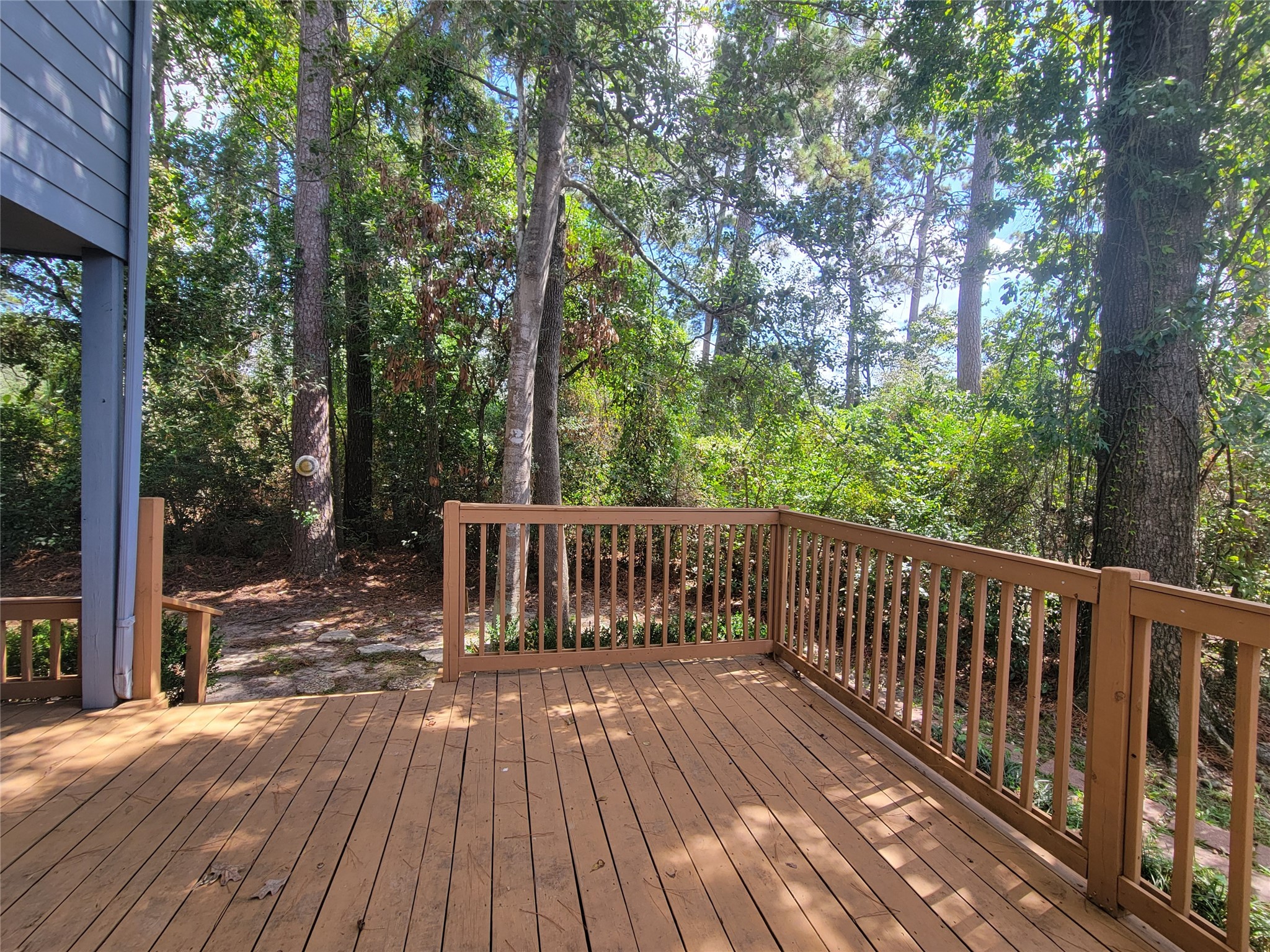 716 Player Court Property Photo 4