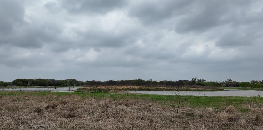Tbd Hwy 90a Property Photo 2