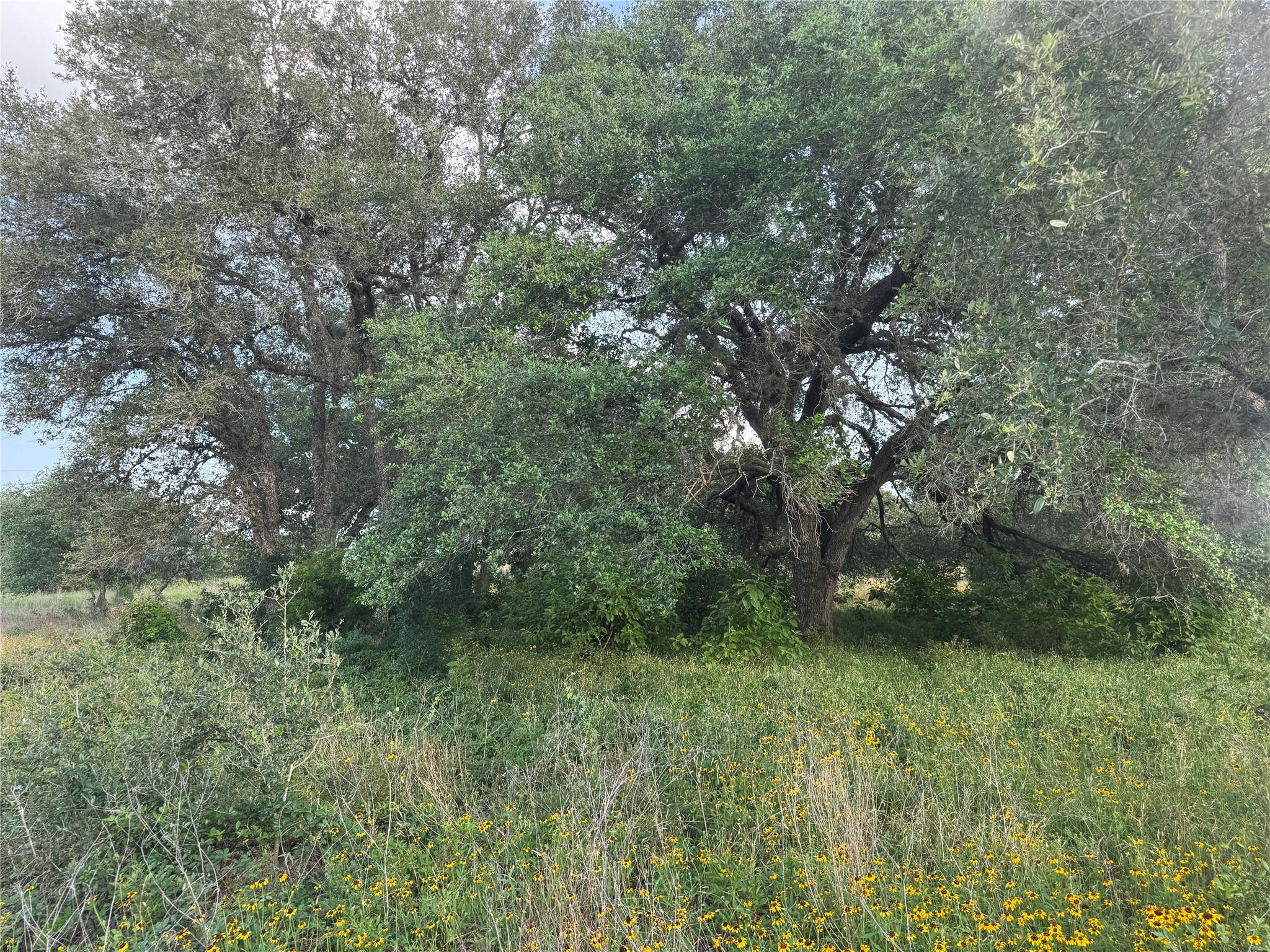 Tbd Hwy 90a Property Photo 4