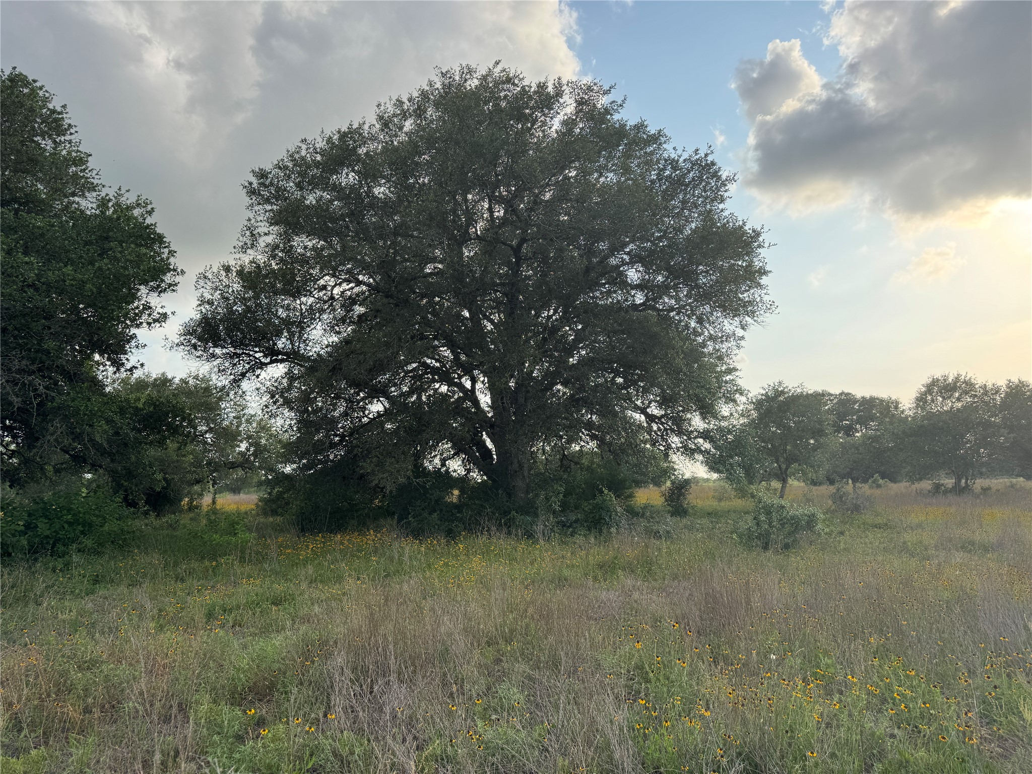 Tbd Hwy 90a Property Photo 5