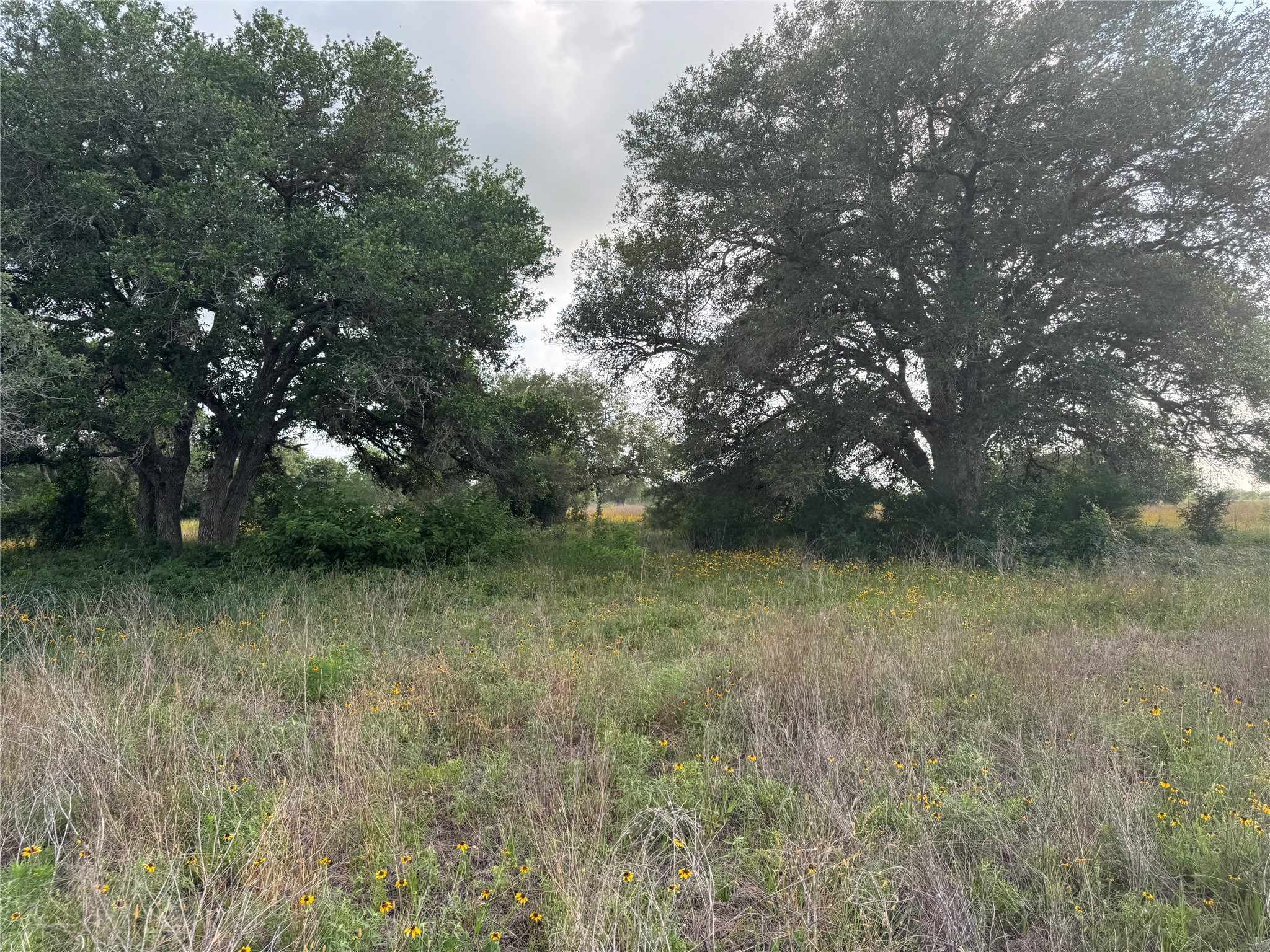 Tbd Hwy 90a Property Photo 6