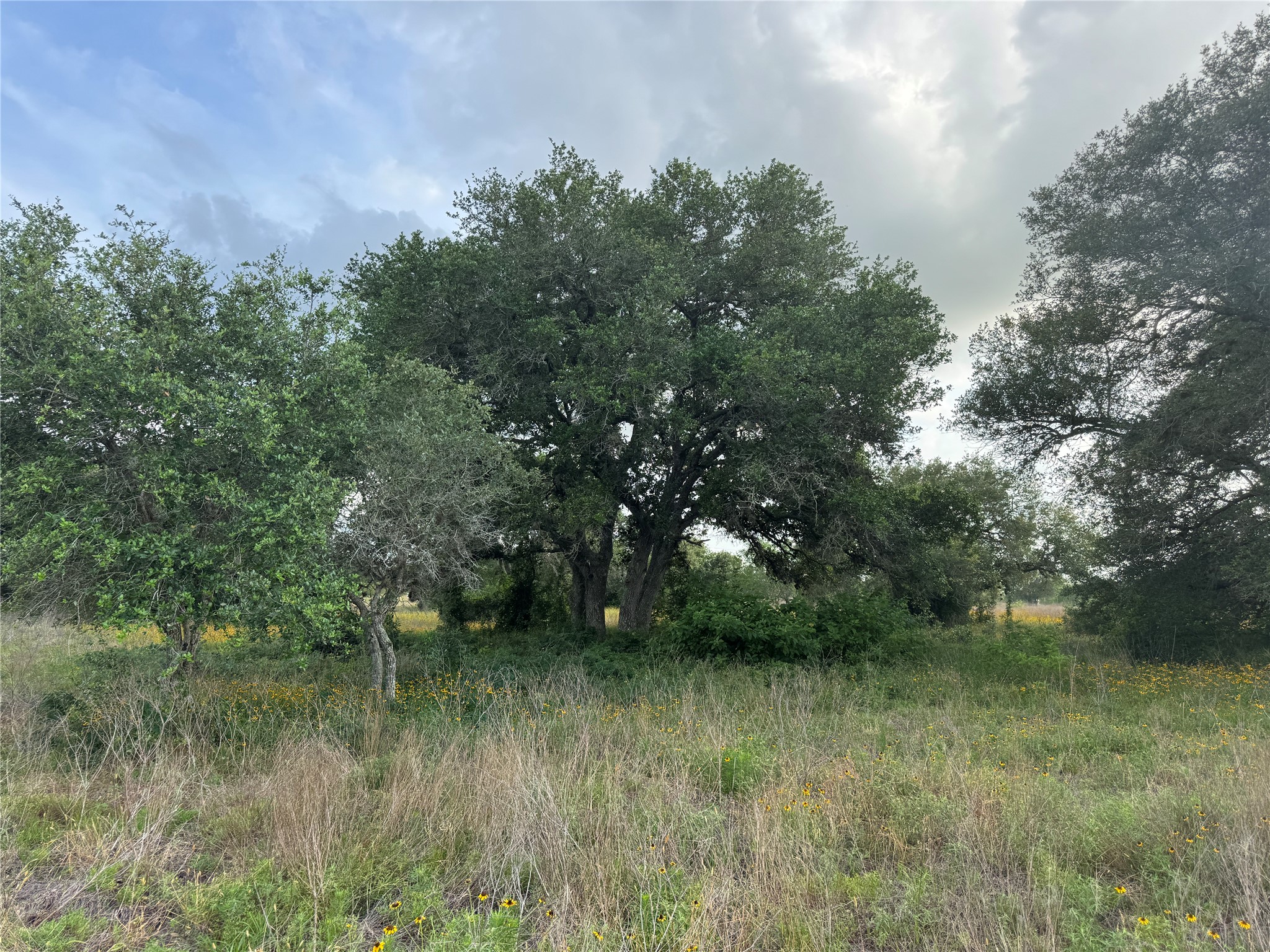Tbd Hwy 90a Property Photo 7