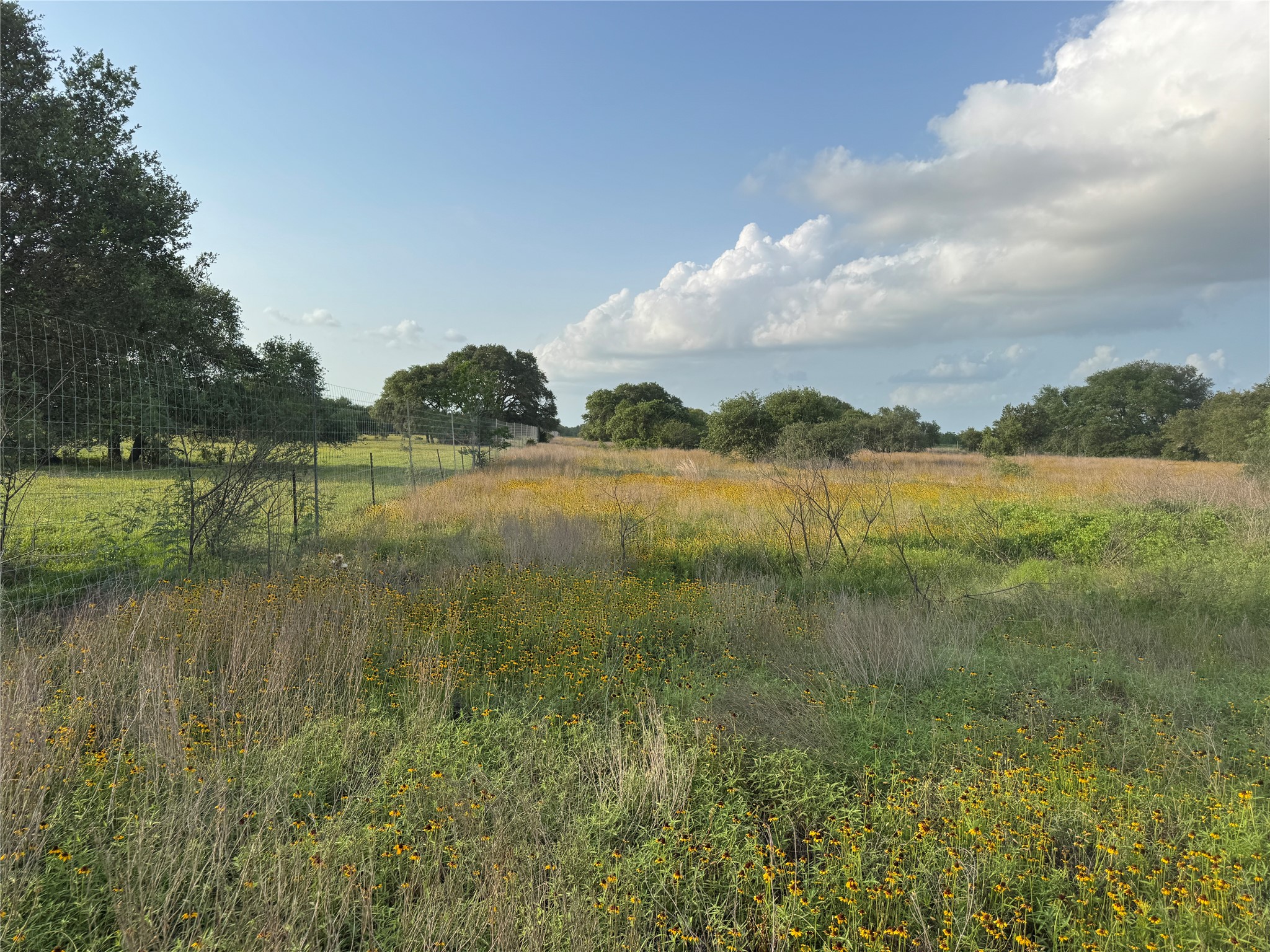Tbd Hwy 90a Property Photo 8