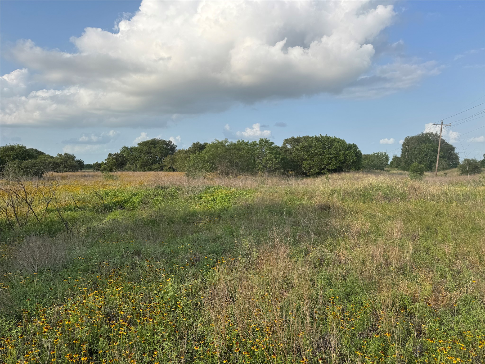 Tbd Hwy 90a Property Photo 10