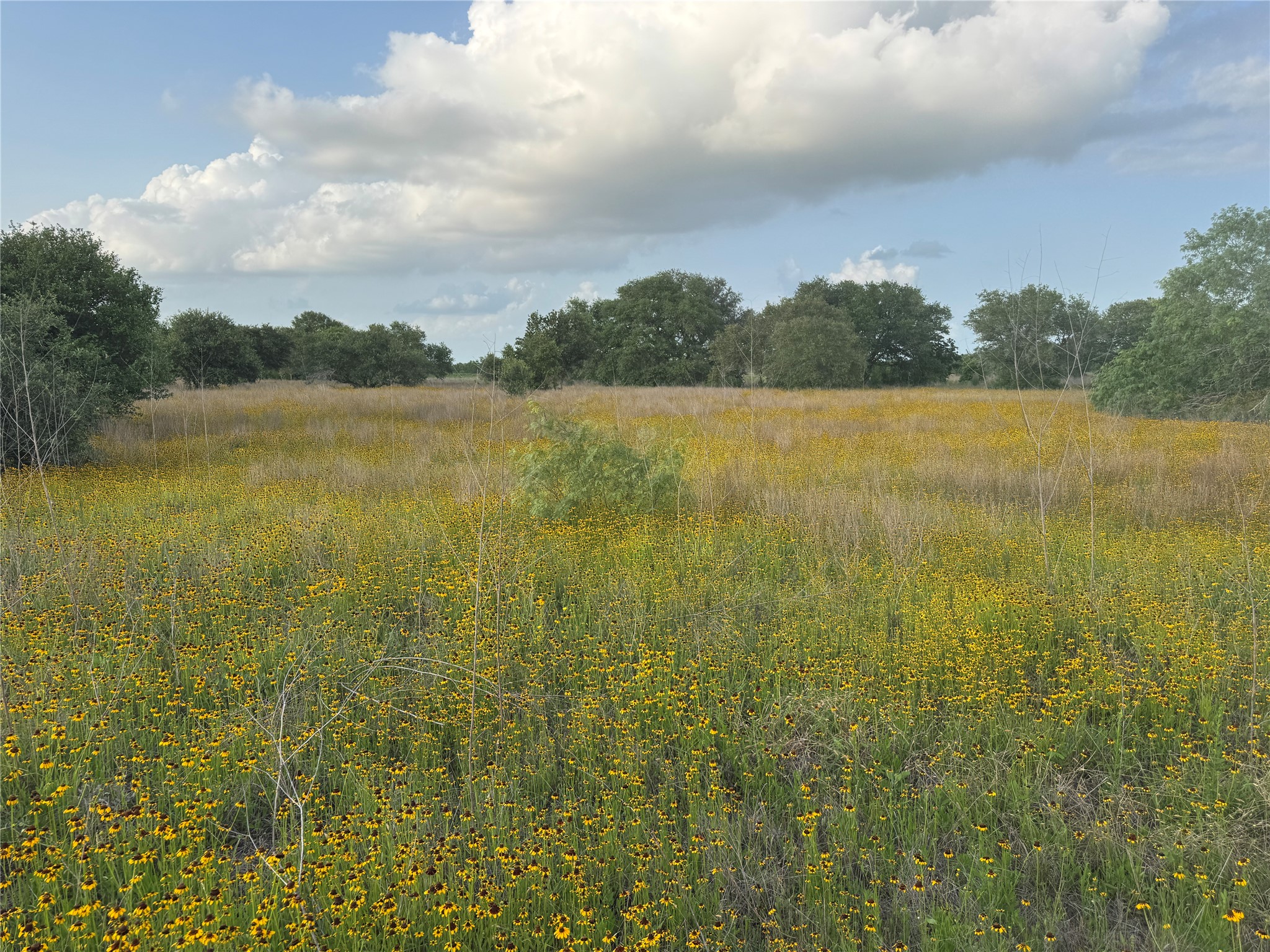 Tbd Hwy 90a Property Photo 11