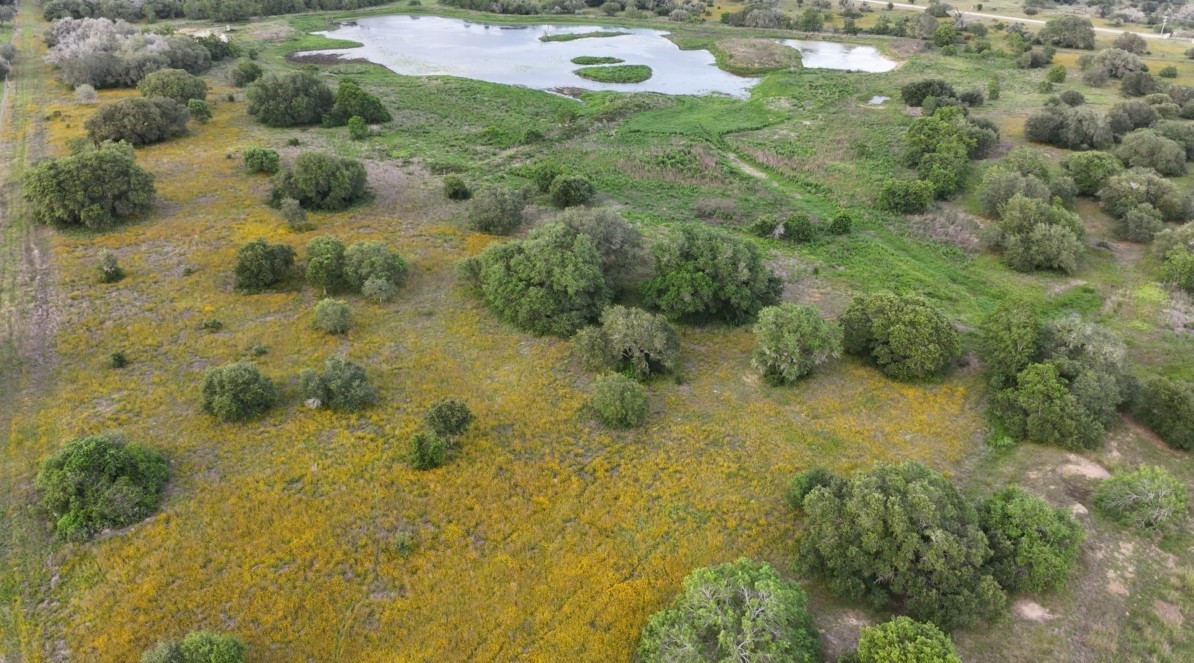 Tbd Hwy 90a Property Photo 13