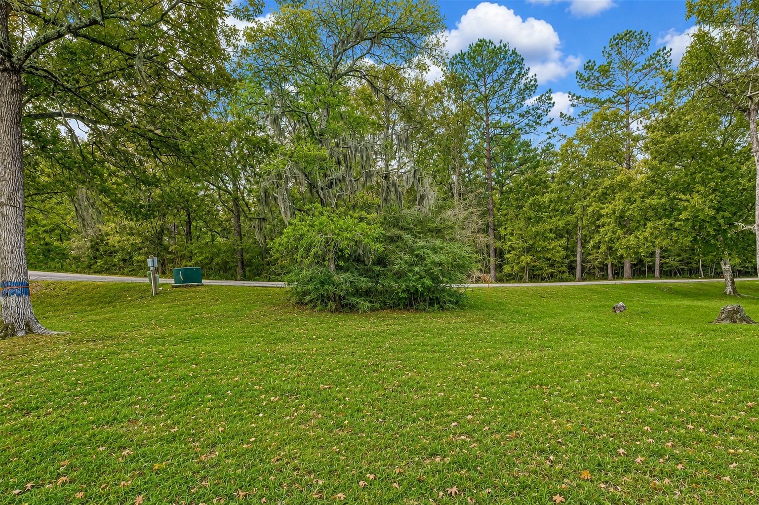20321 Belair Drive Property Photo 6