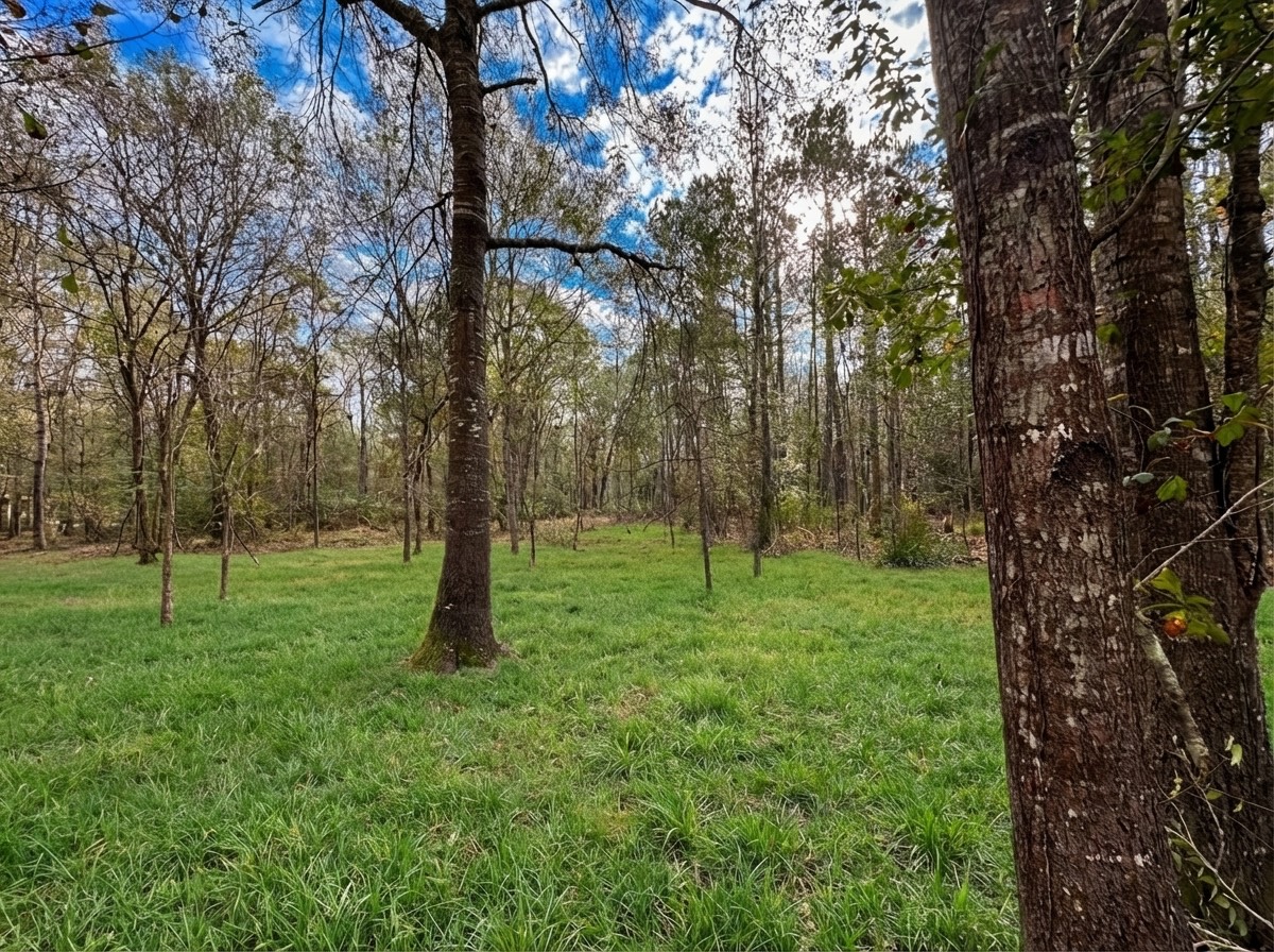 Lot 175 County Road 3017c Property Photo 6