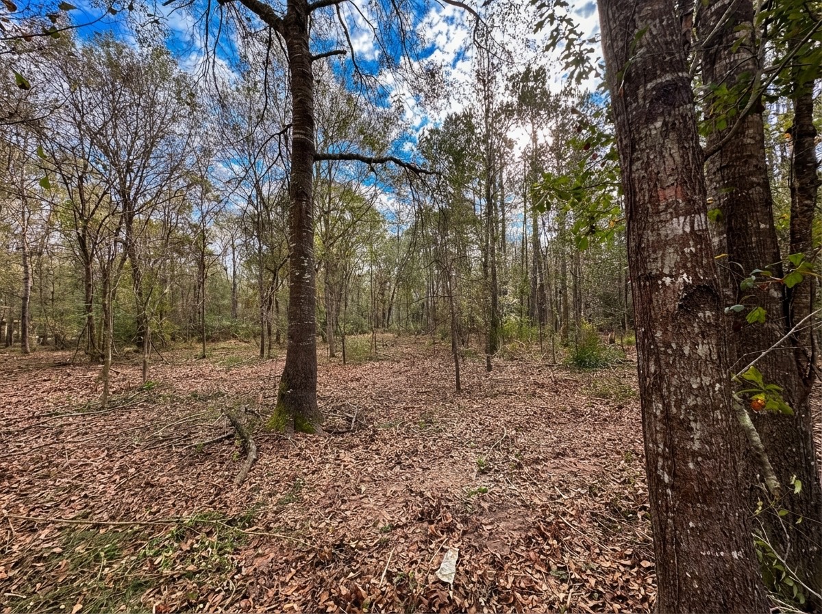 Lot 175 County Road 3017c Property Photo 7
