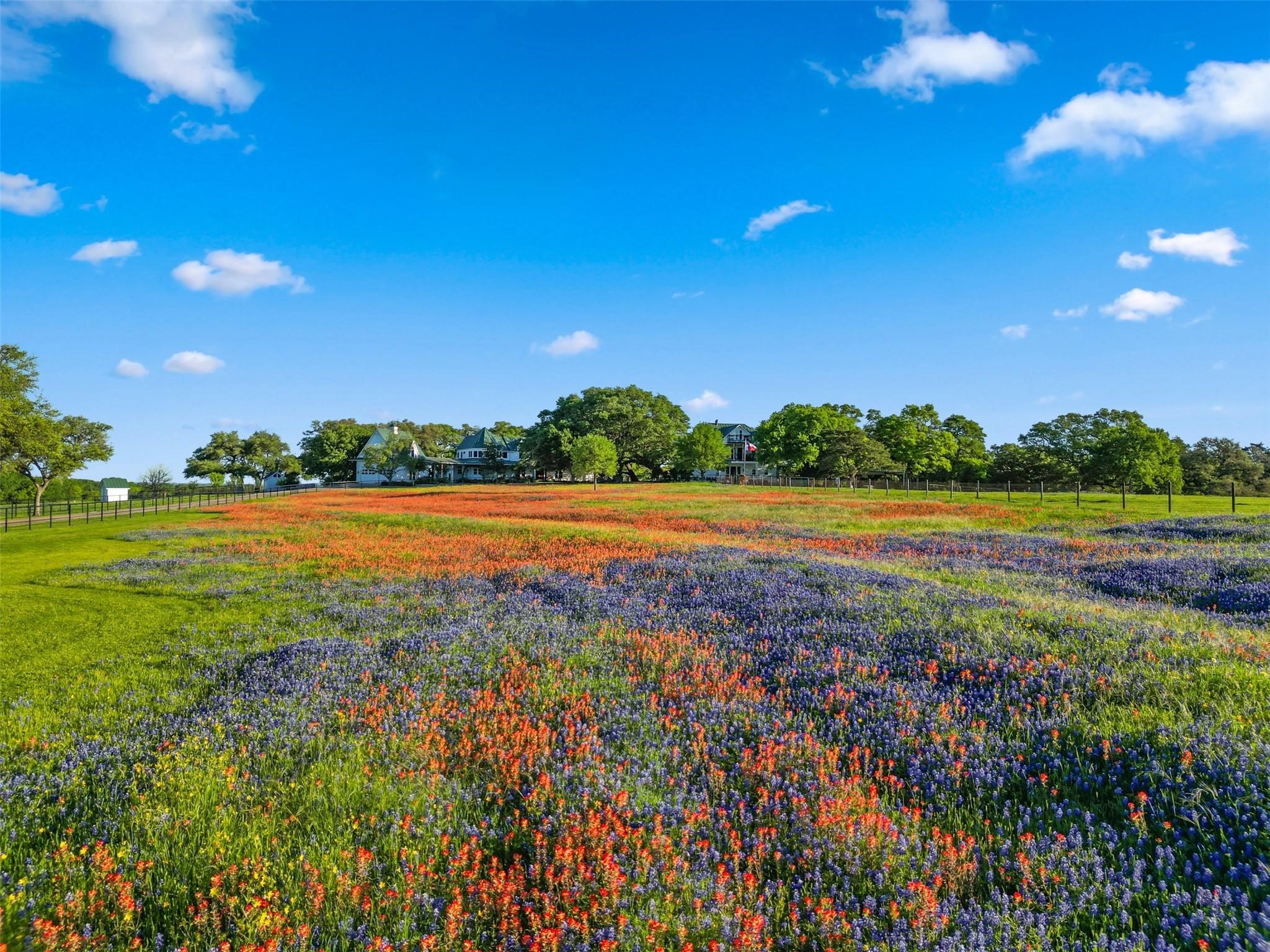 1007 Fm 390 E Property Photo 5