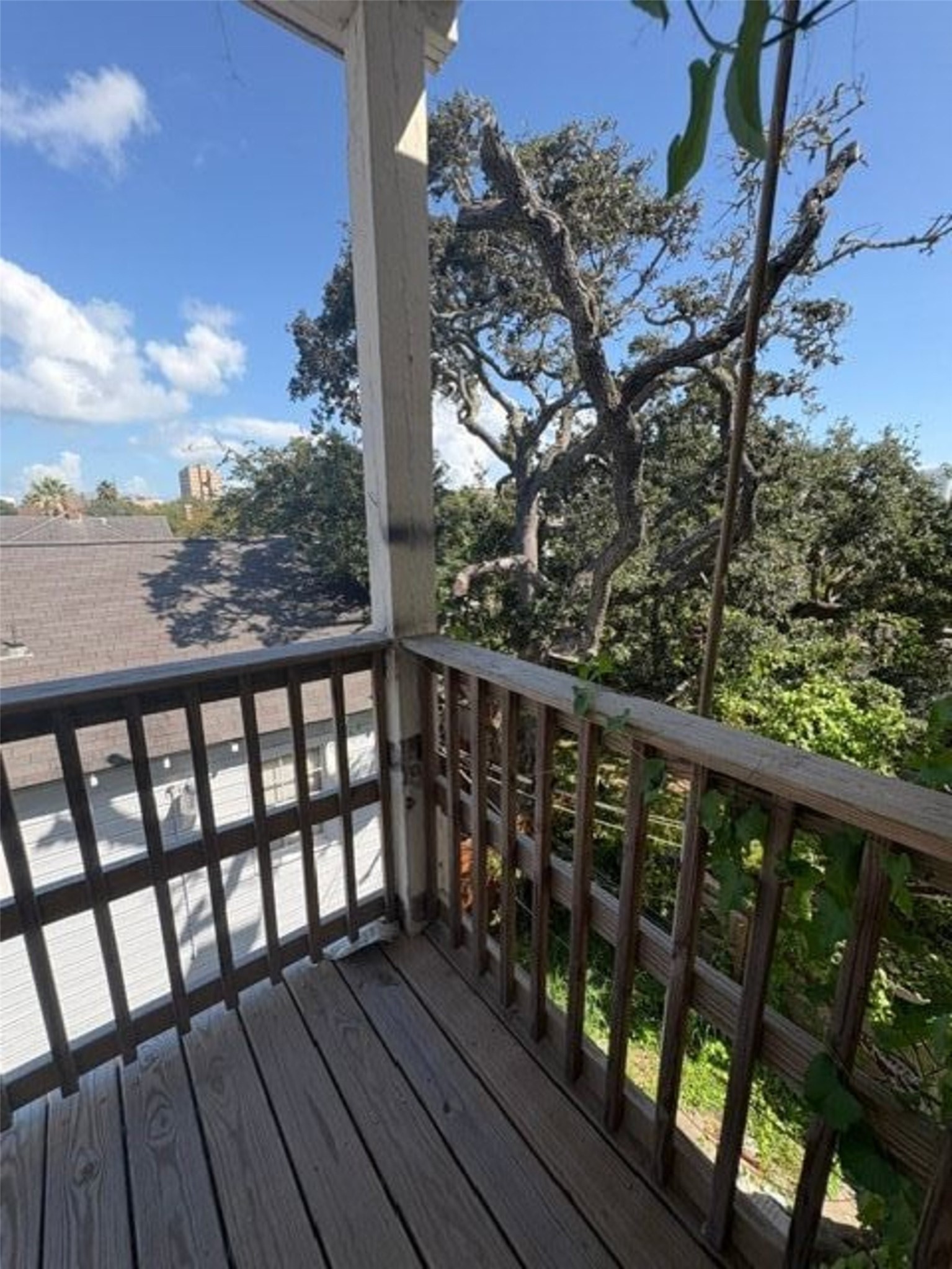 1128 Broadway Street Property Photo 23