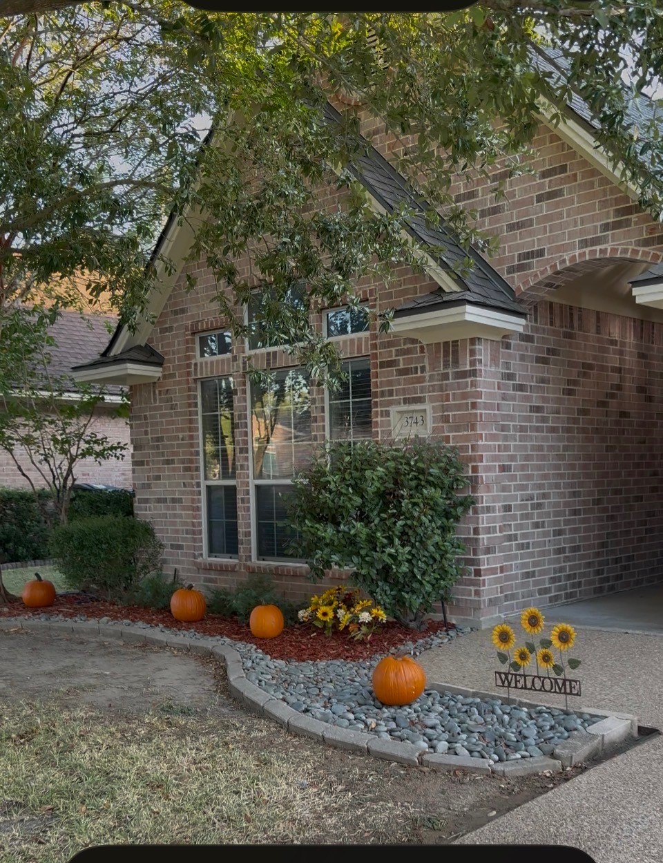 3743 Essen Loop Property Photo 43