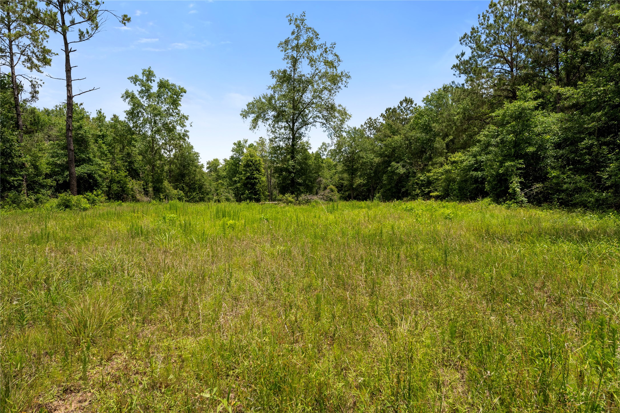 4578 N Duck Creek Road Property Photo 4