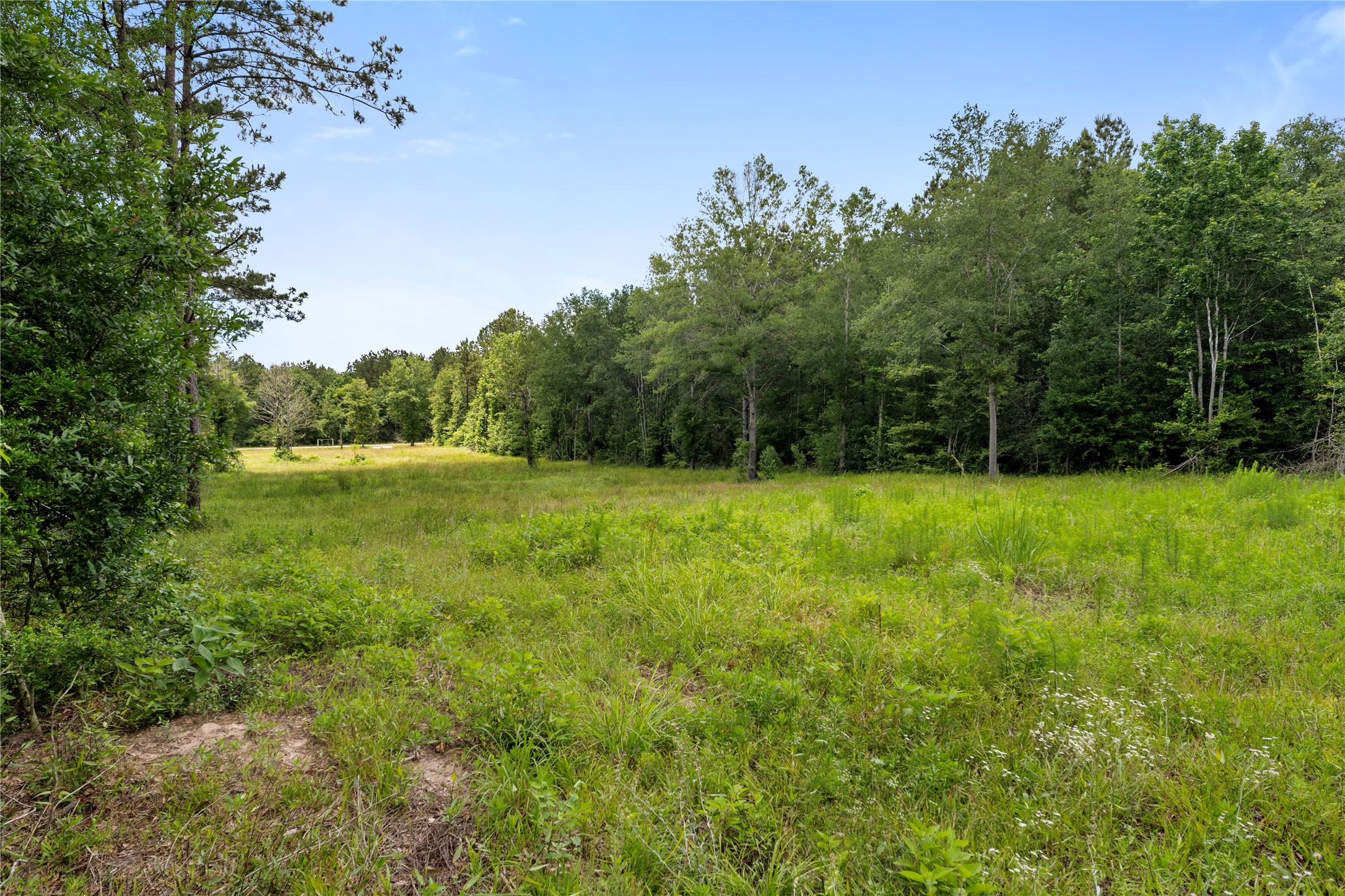 4578 N Duck Creek Road Property Photo 6