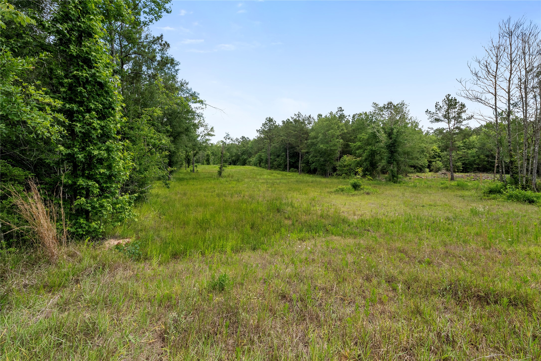 4578 N Duck Creek Road Property Photo 8