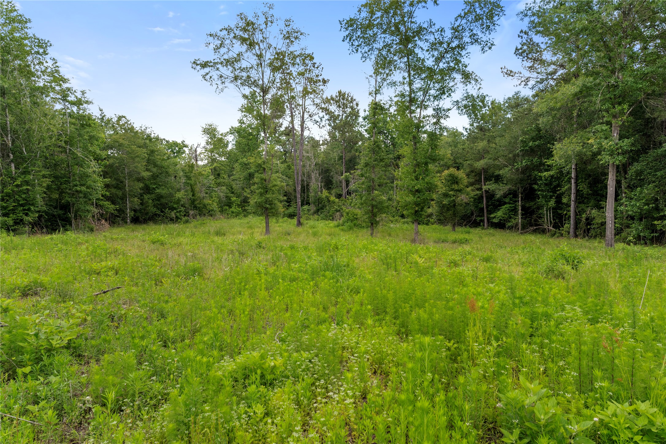 4578 N Duck Creek Road Property Photo 9