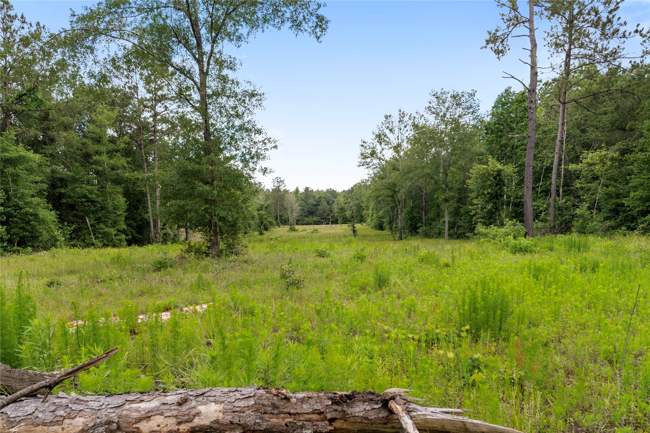 4578 N Duck Creek Road Property Photo 10