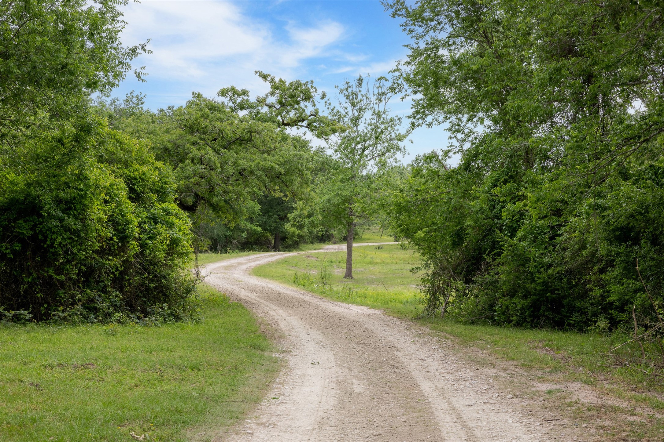 4503 Sulphur Springs Road Property Photo 10