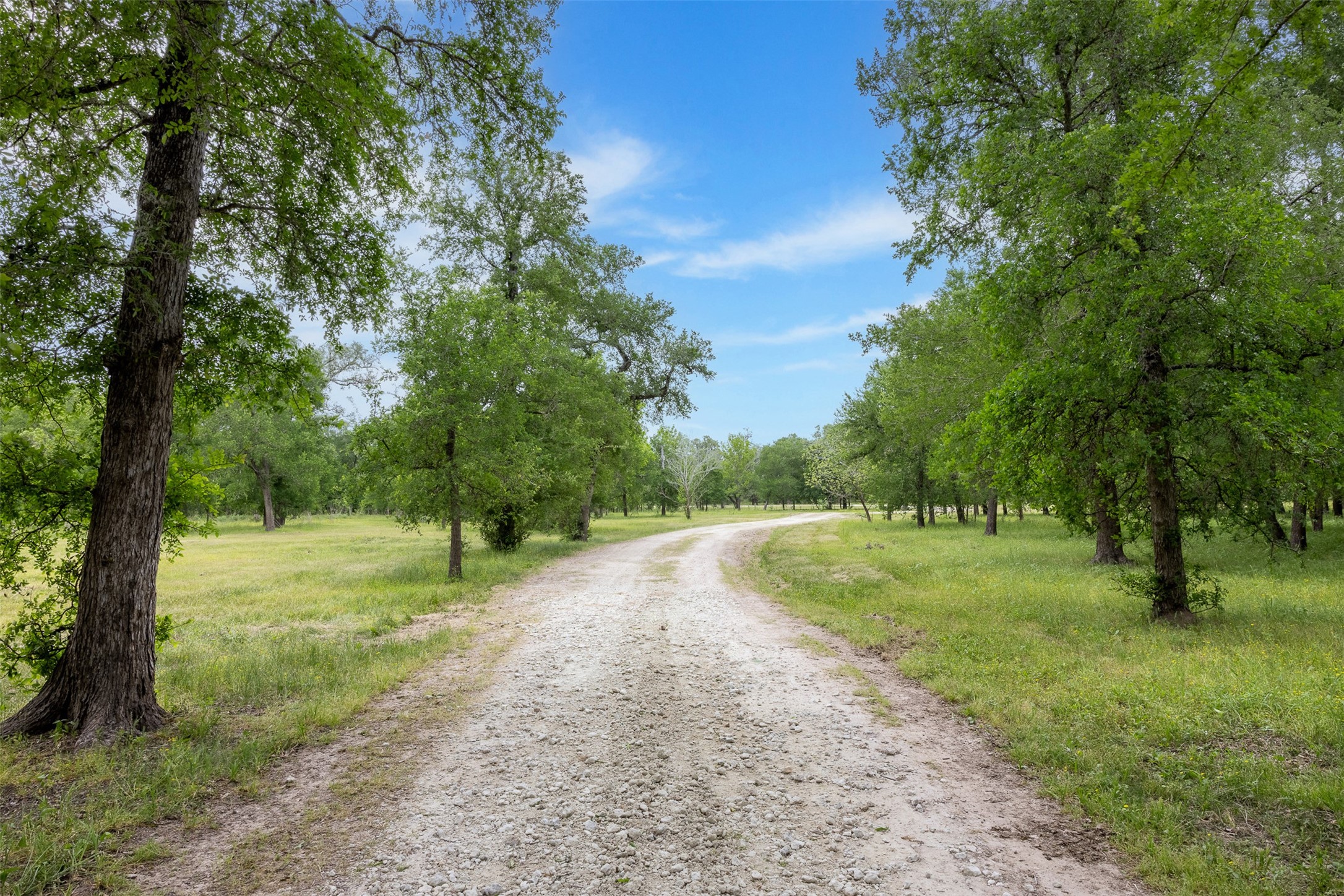 4503 Sulphur Springs Road Property Photo 11