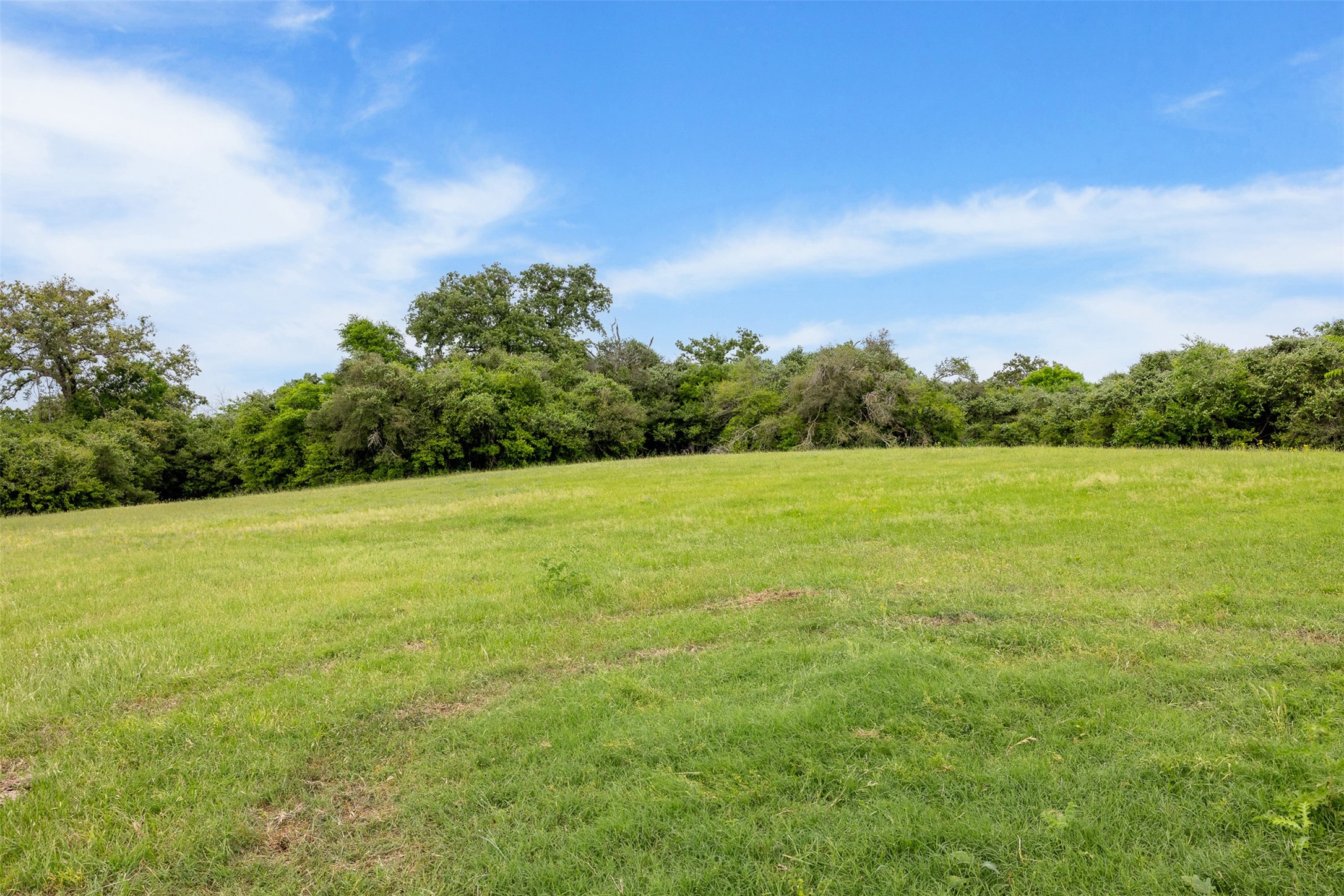 4503 Sulphur Springs Road Property Photo 12