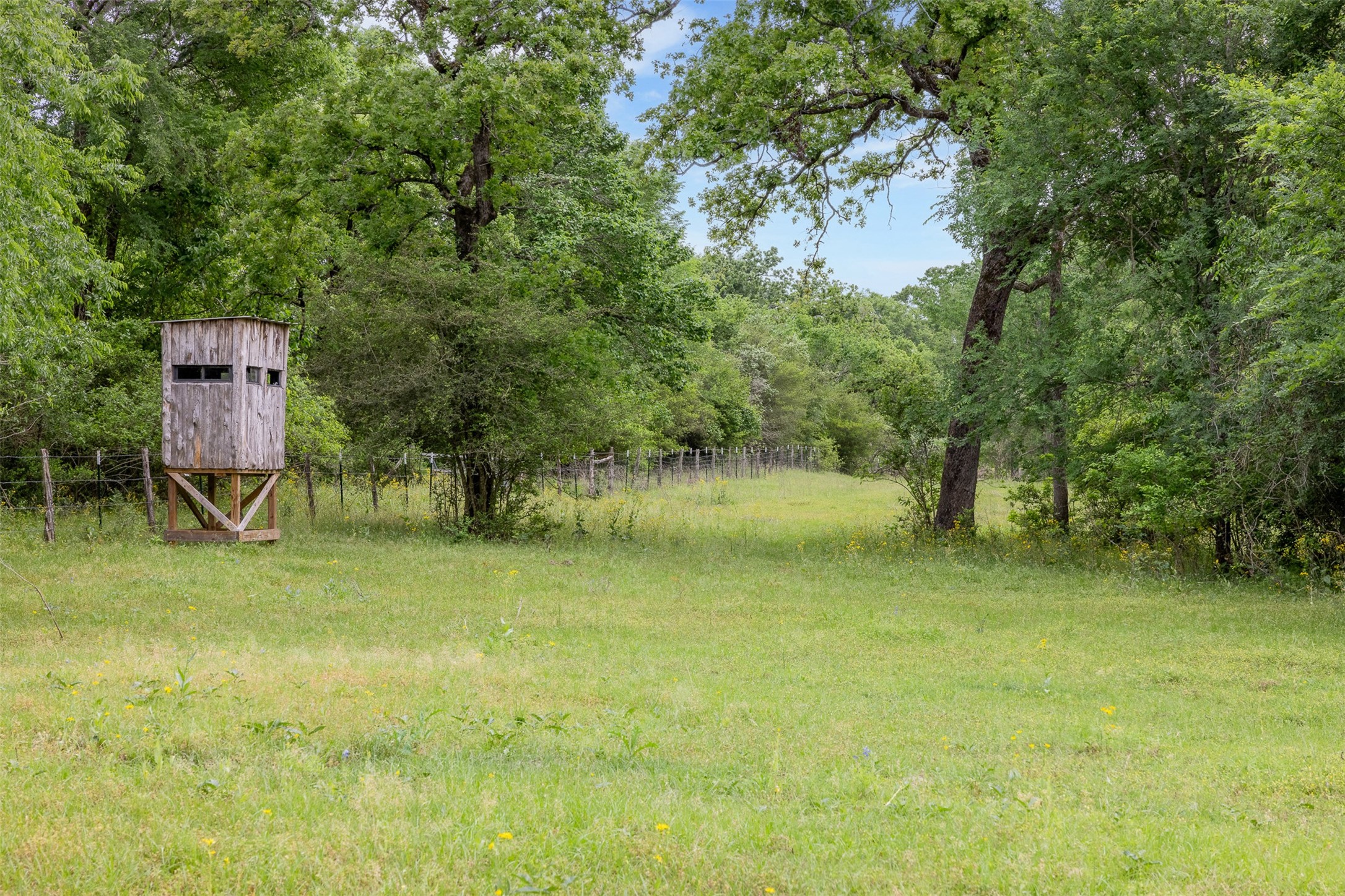 4503 Sulphur Springs Road Property Photo 13