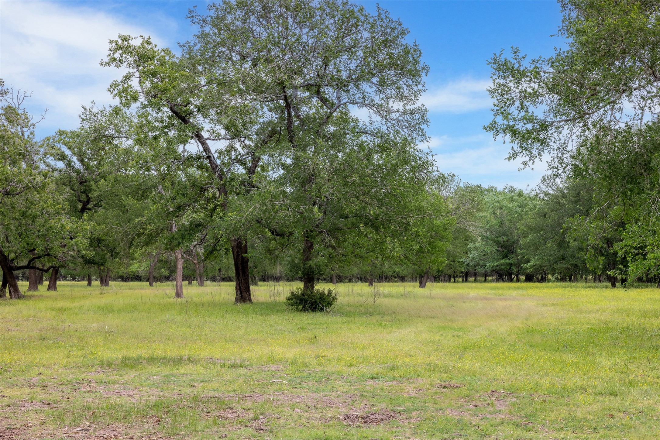 4503 Sulphur Springs Road Property Photo 15