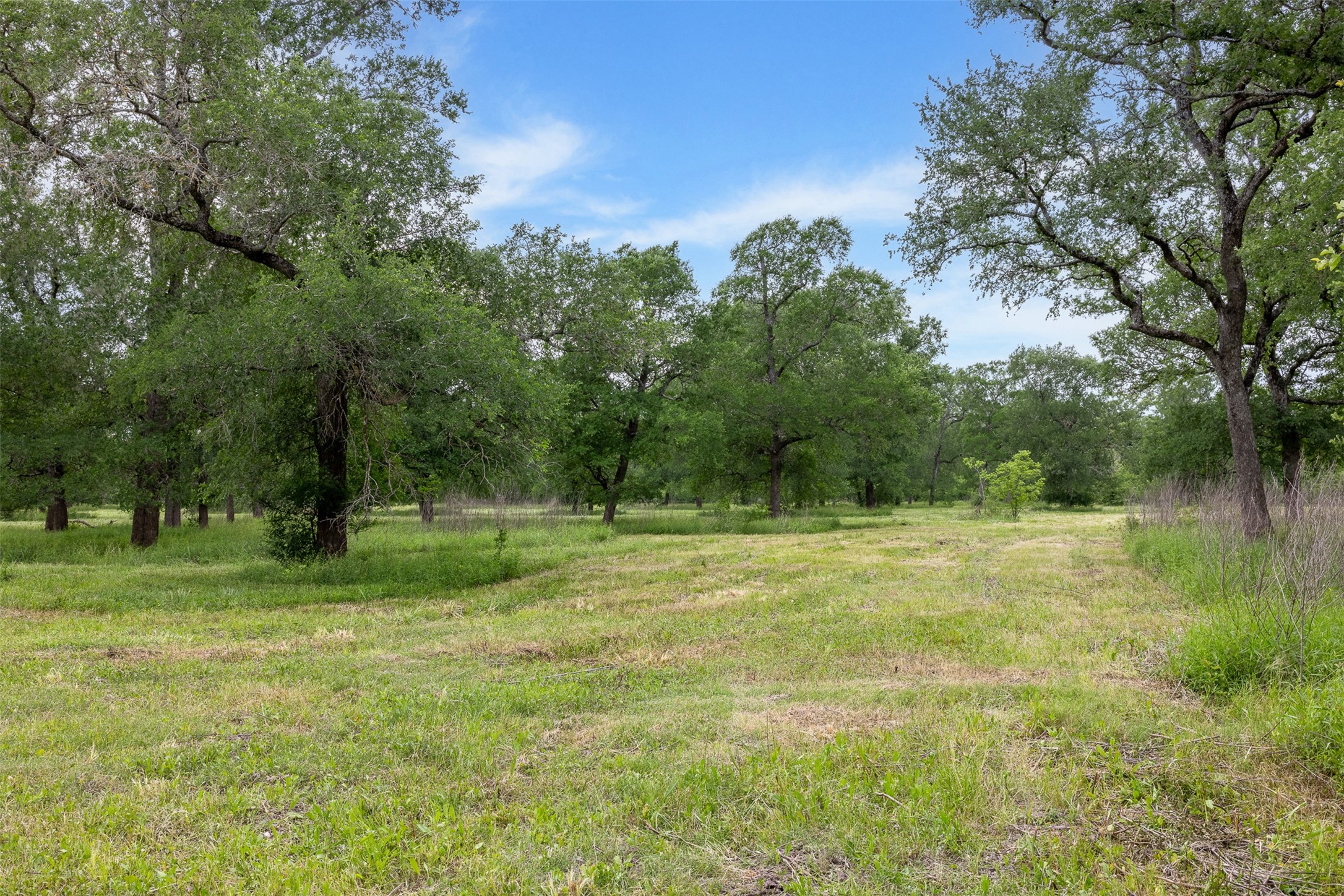 4503 Sulphur Springs Road Property Photo 25