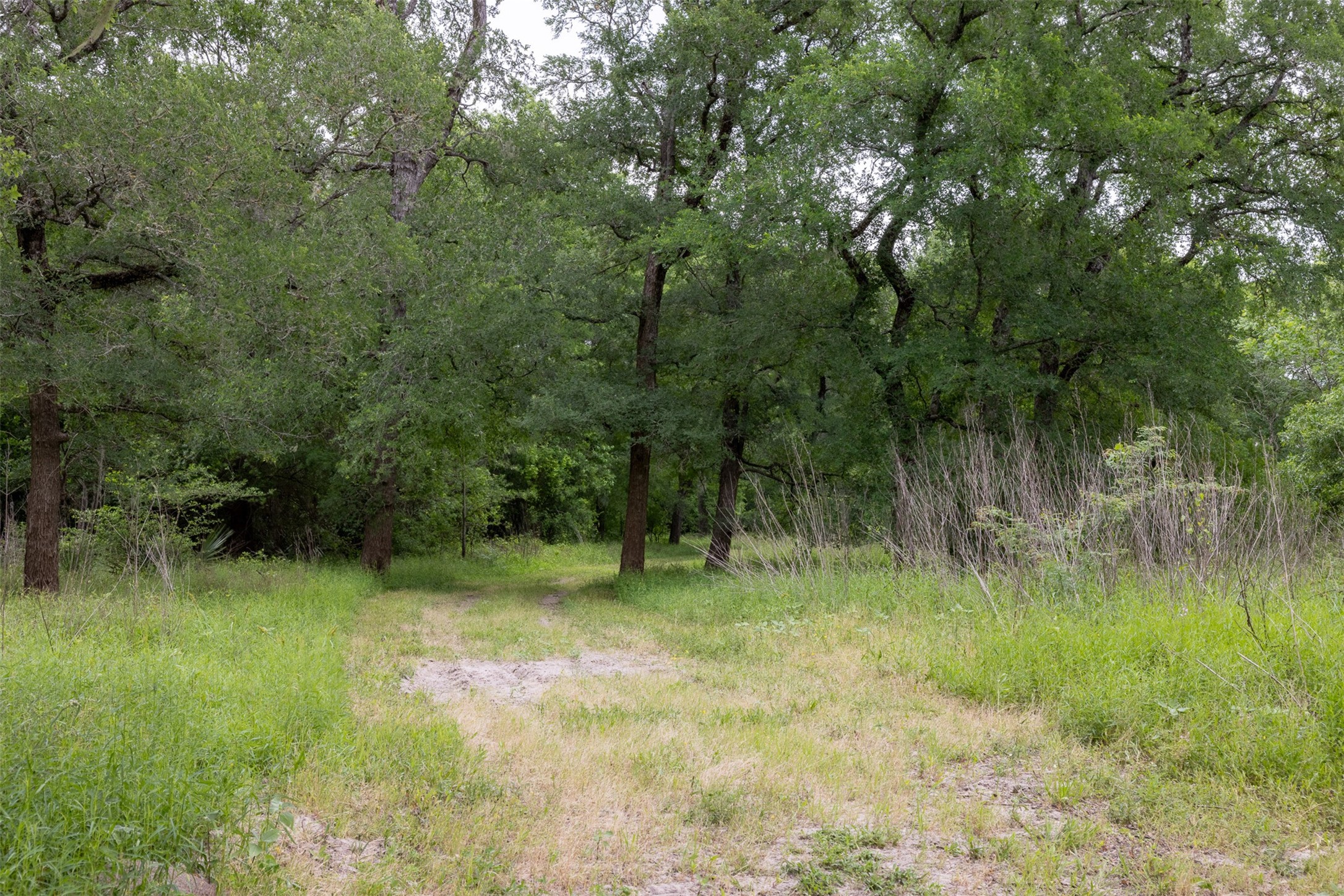 4503 Sulphur Springs Road Property Photo 26