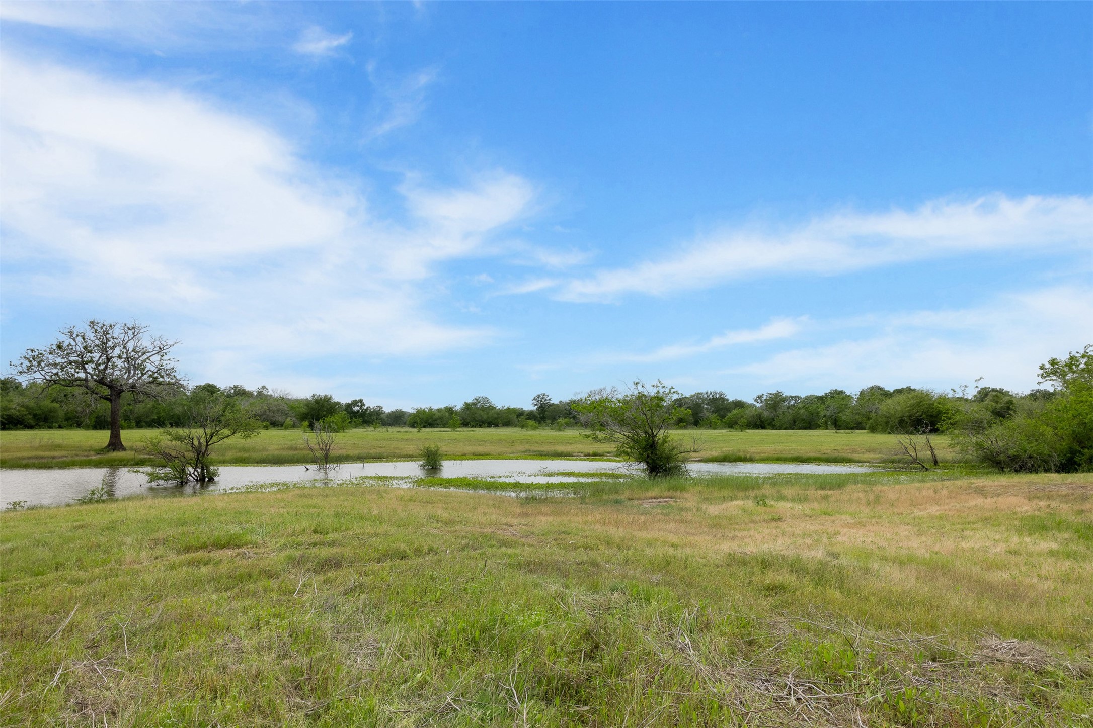 4503 Sulphur Springs Road Property Photo 27