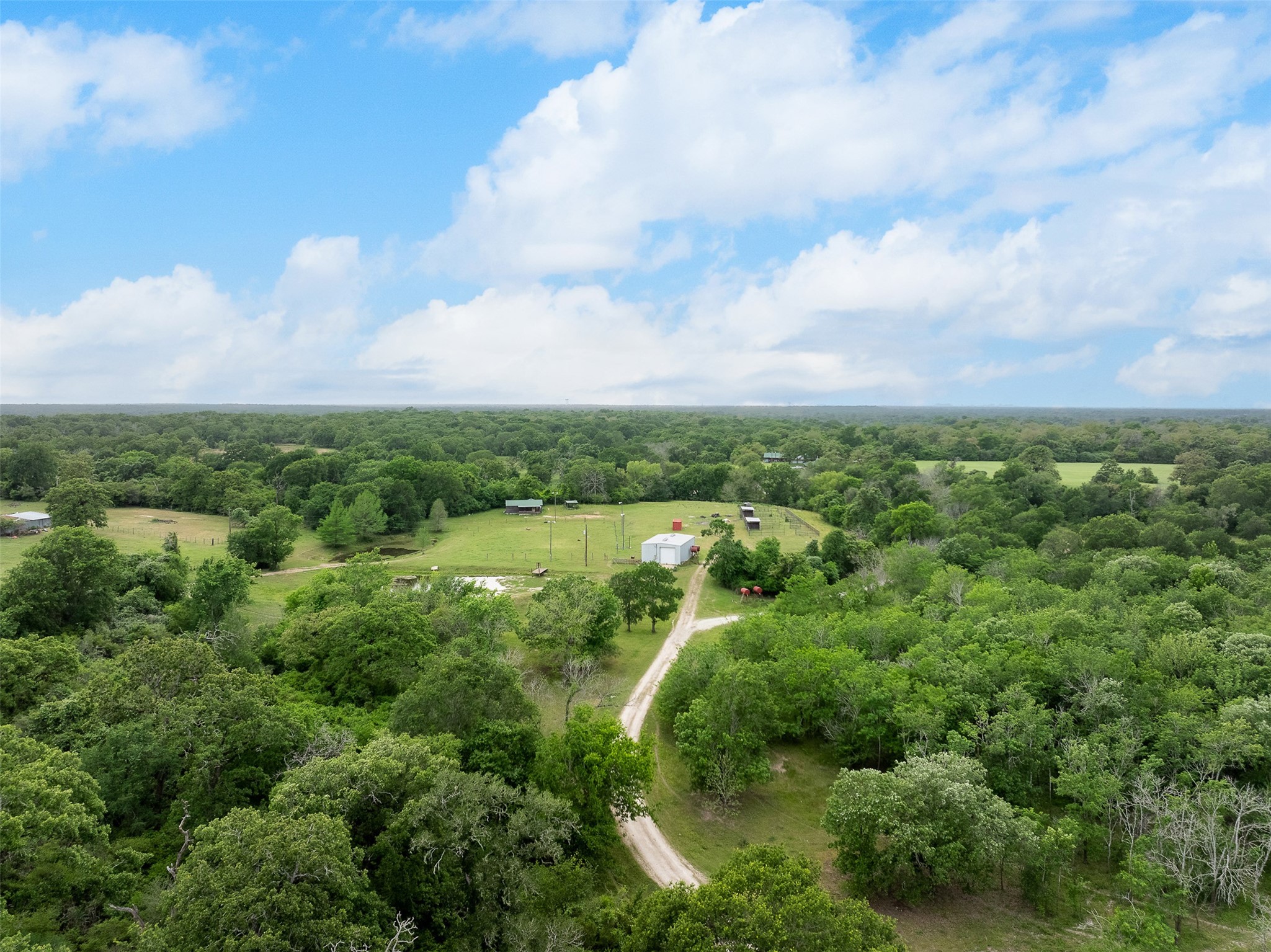 4503 Sulphur Springs Road Property Photo 34