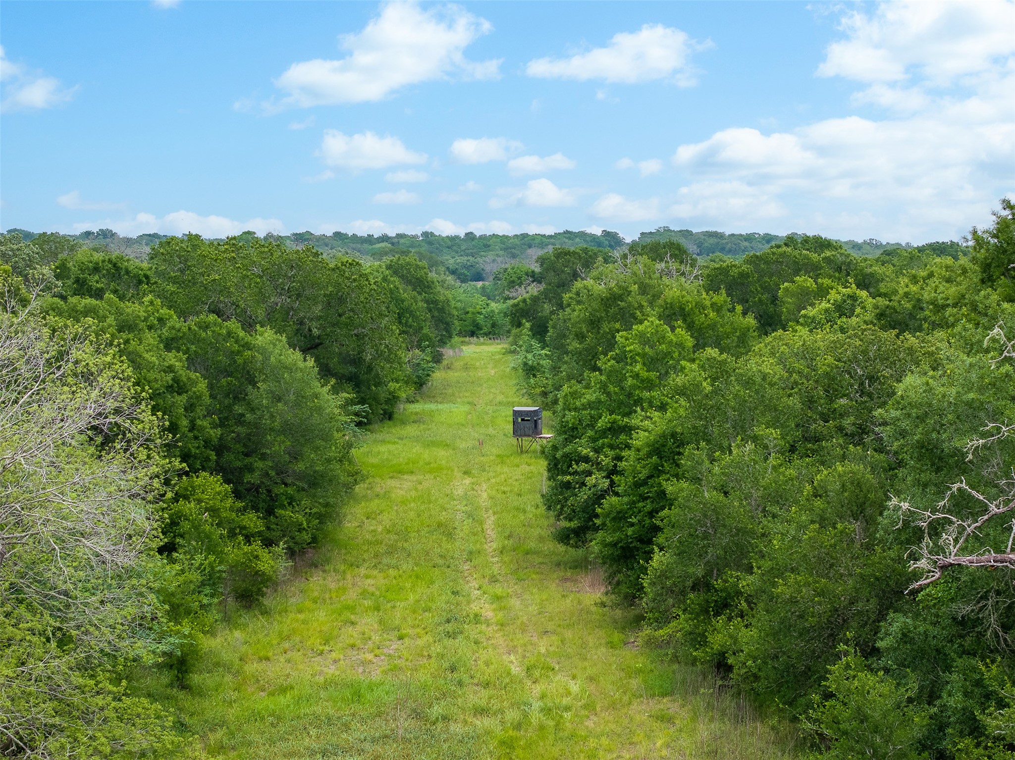 4503 Sulphur Springs Road Property Photo 39