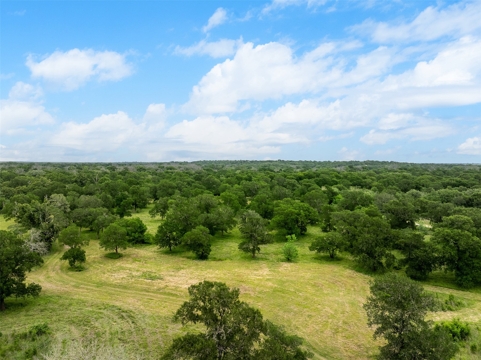 4503 Sulphur Springs Road Property Photo 41