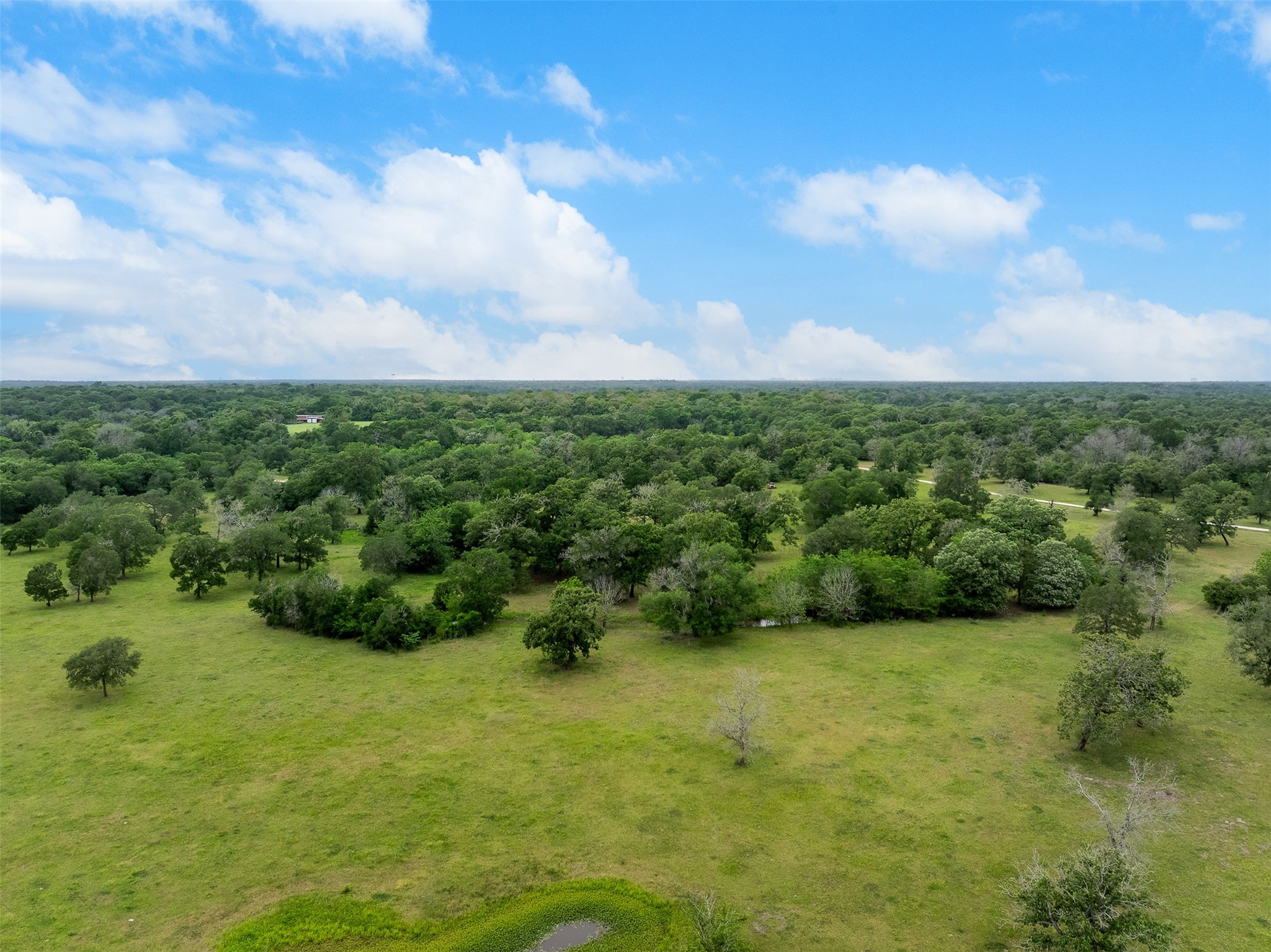 4503 Sulphur Springs Road Property Photo 43