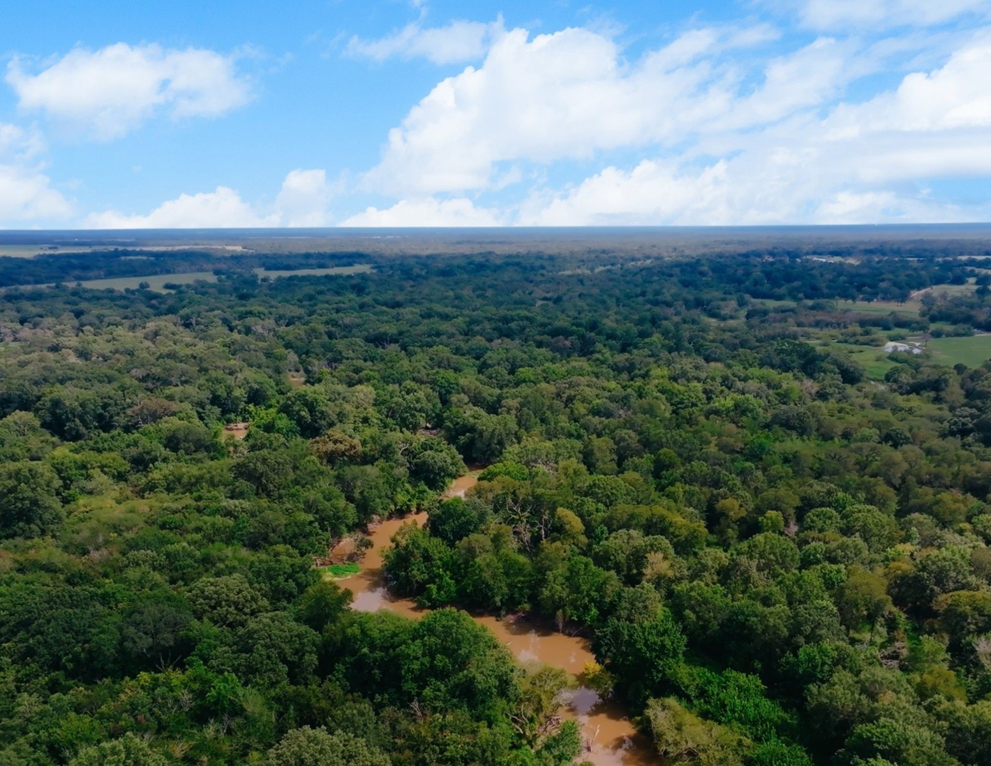4503 Sulphur Springs Road Property Photo 45