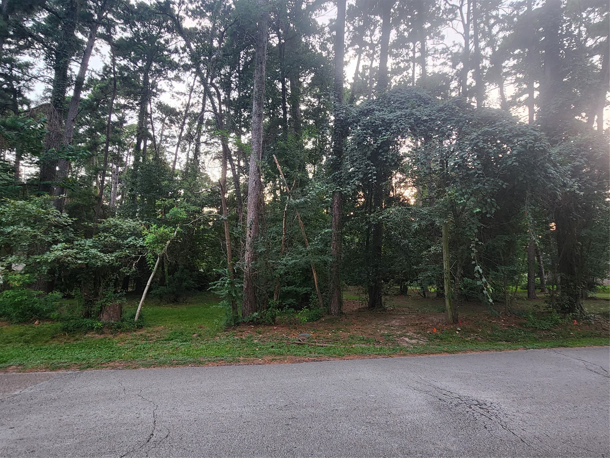 Tbd Corinthian Way Property Photo 2