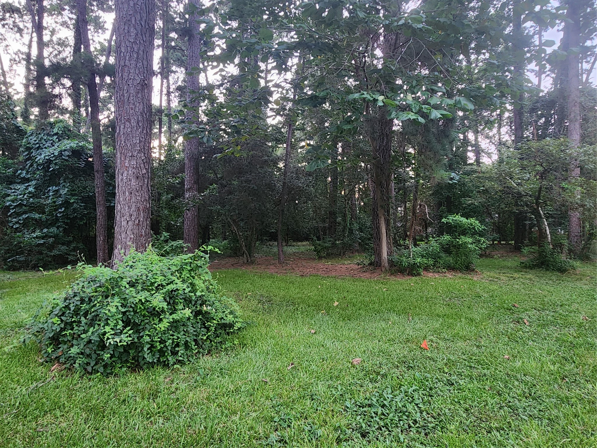 Tbd Corinthian Way Property Photo 3