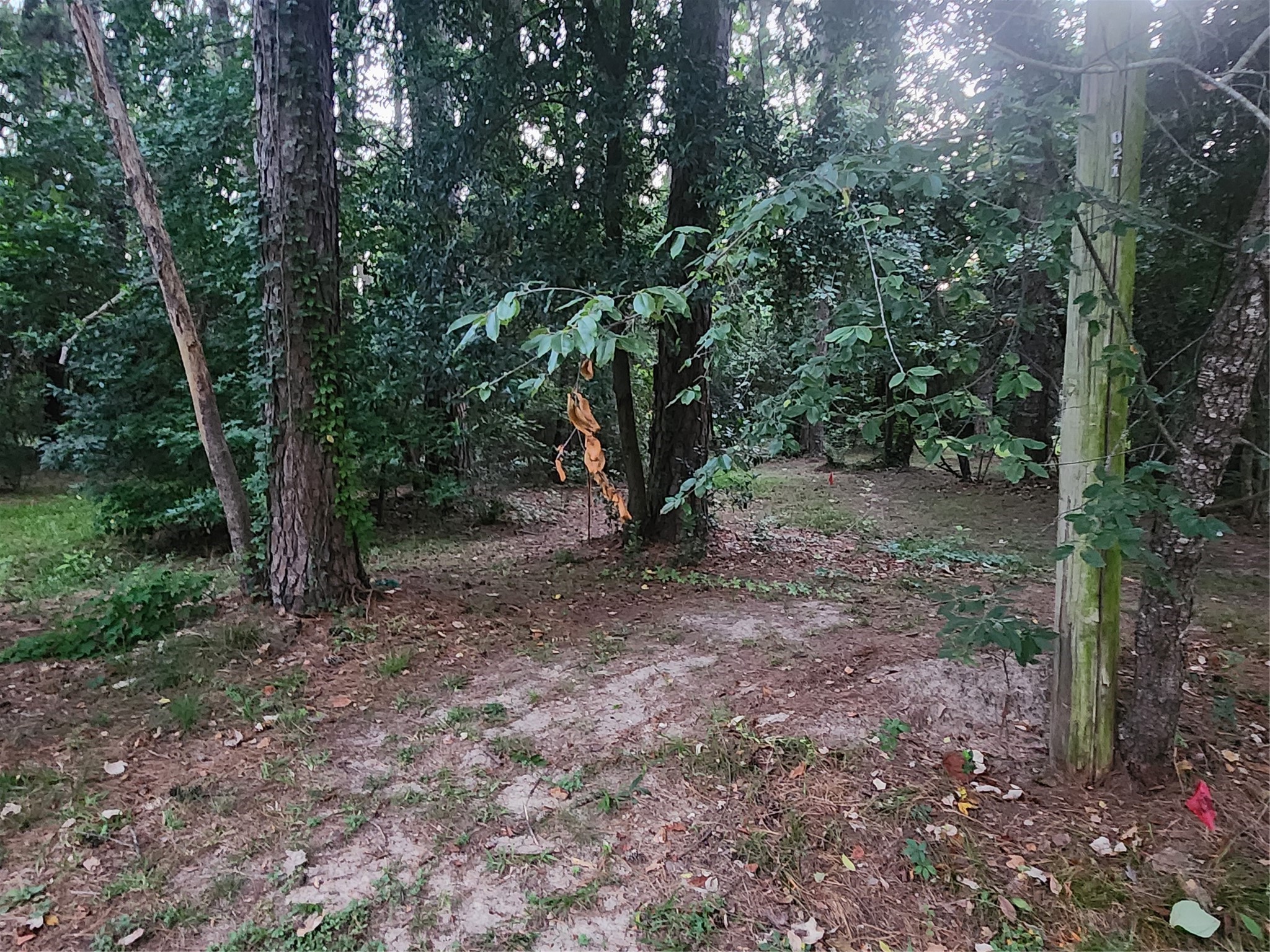 Tbd Corinthian Way Property Photo 4