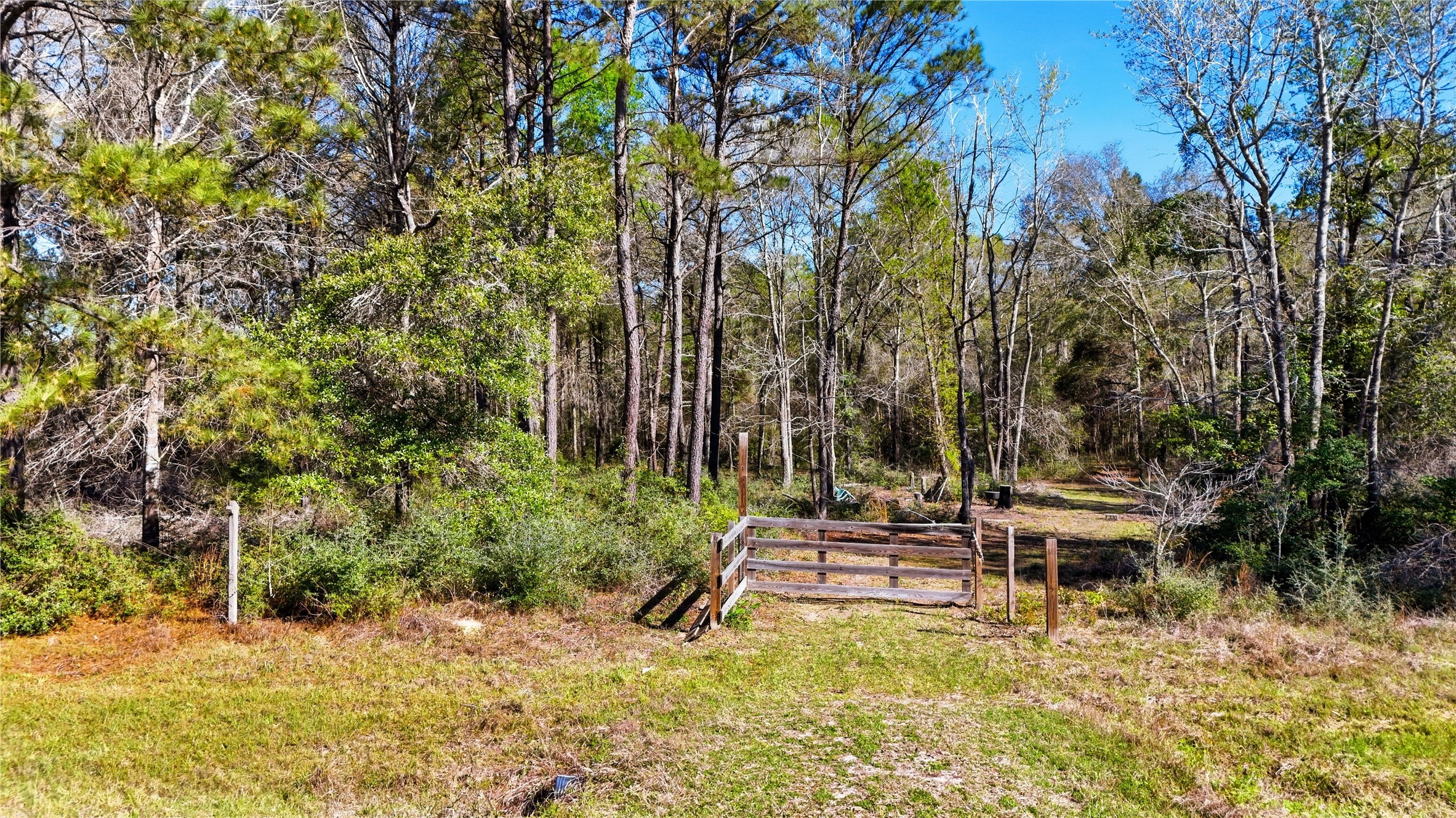 21223 Peach Wood Property Photo 2