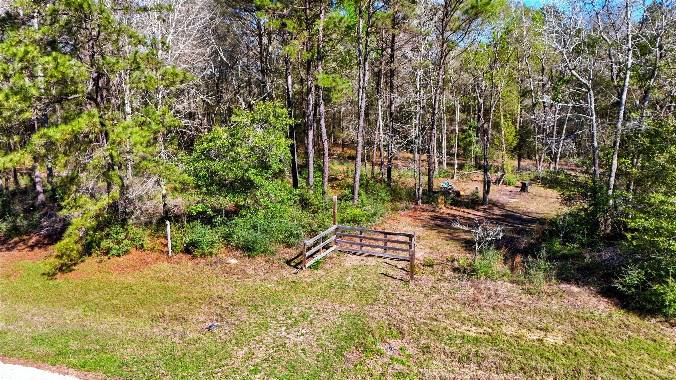 21223 Peach Wood Property Photo 3