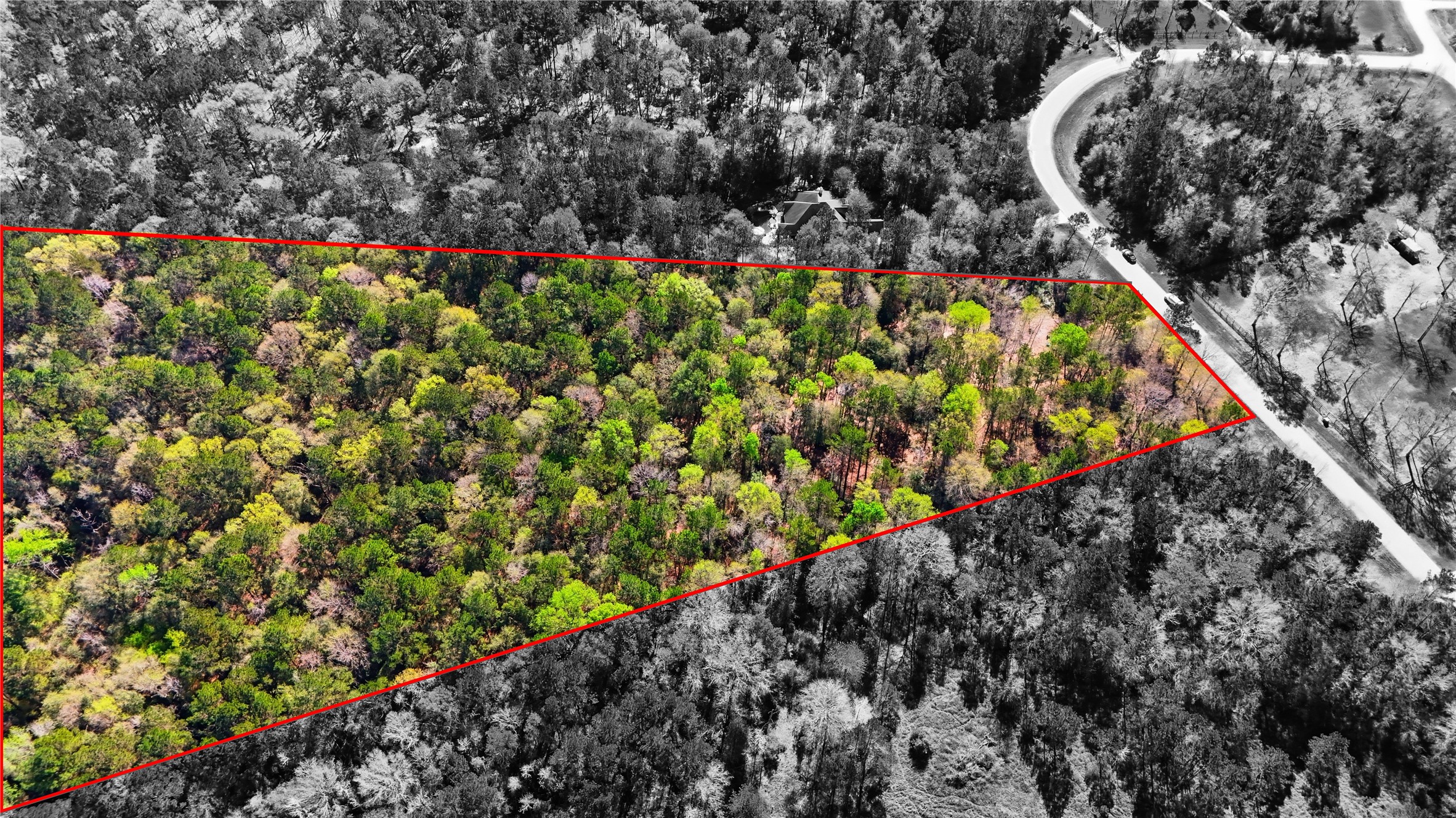 21223 Peach Wood Property Photo 6