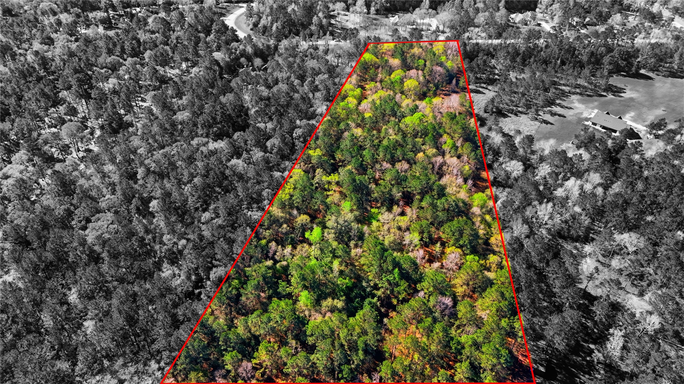 21223 Peach Wood Property Photo 8