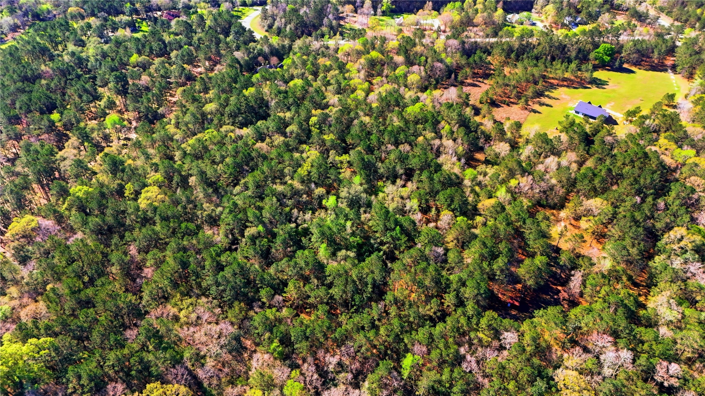 21223 Peach Wood Property Photo 9
