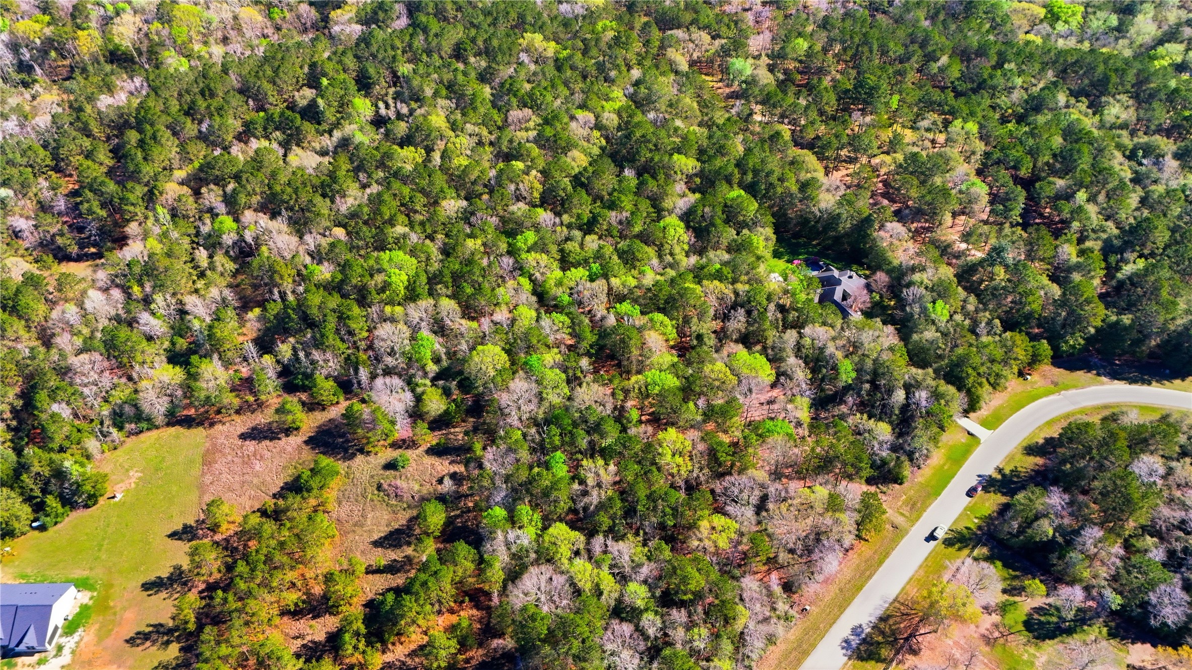 21223 Peach Wood Property Photo 10