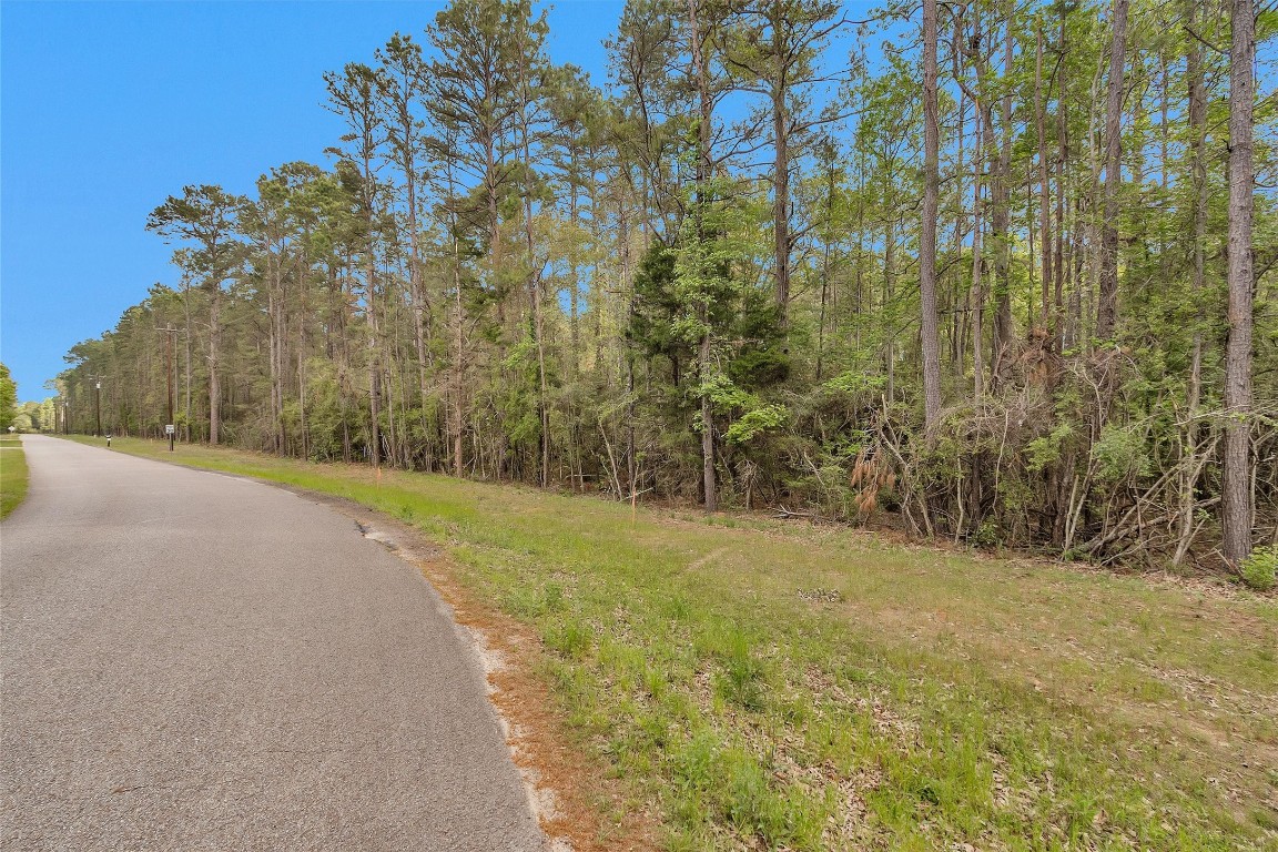 Tbd Cedar Lane Loop Property Photo 5