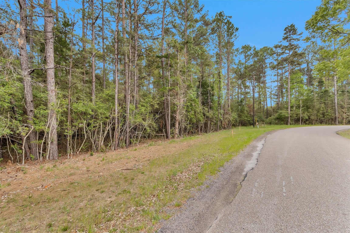 Tbd Cedar Lane Loop Property Photo 8