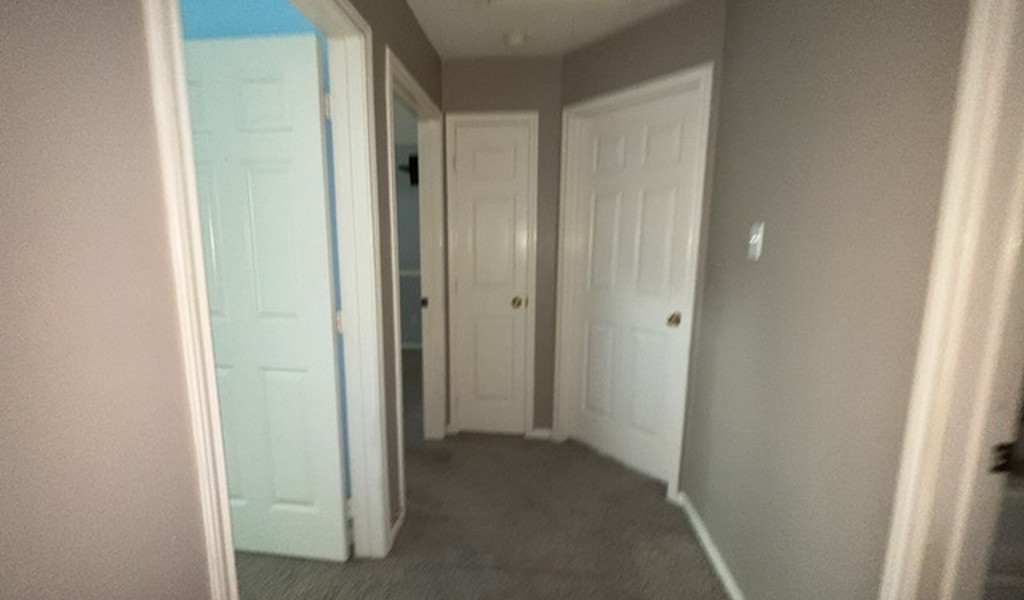 1702 Whispering Forest Drive Property Photo 16