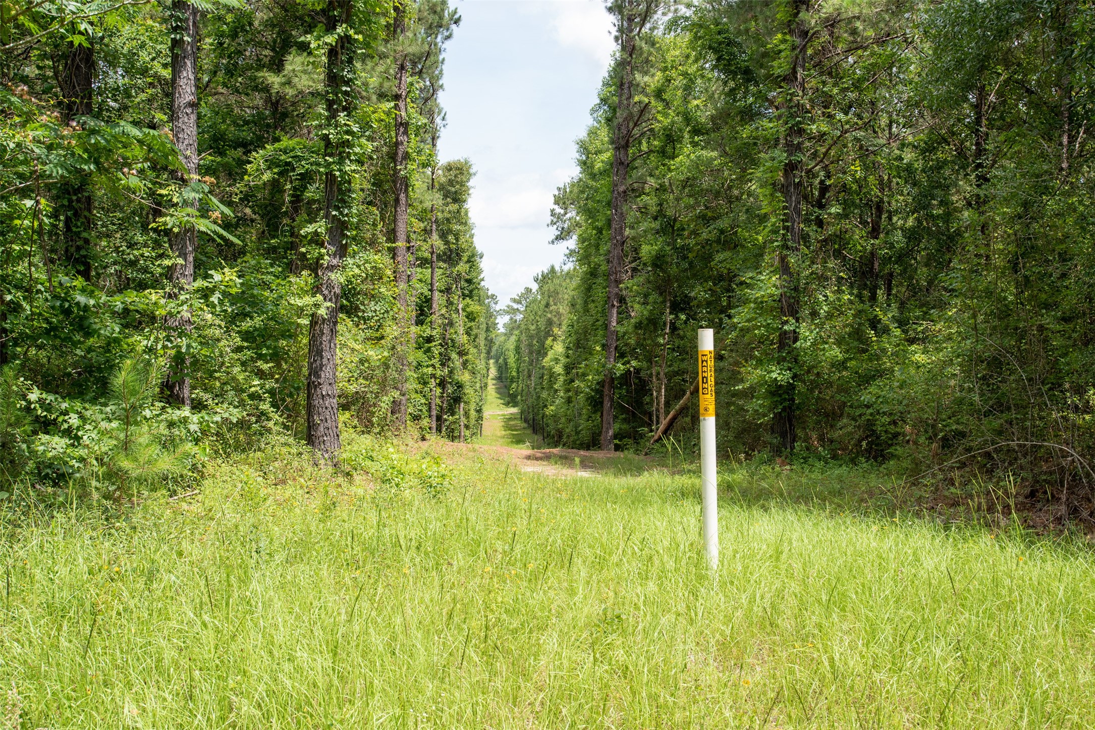 Tbd County Road 2150 Property Photo 4